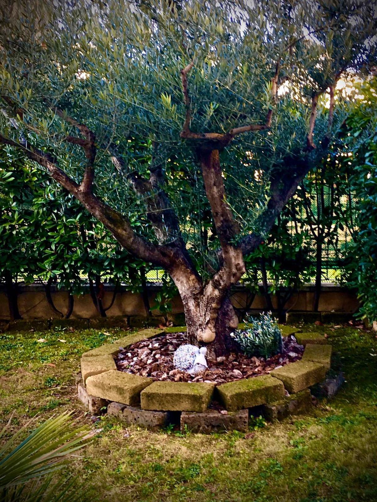 Residenza Il Fiore
