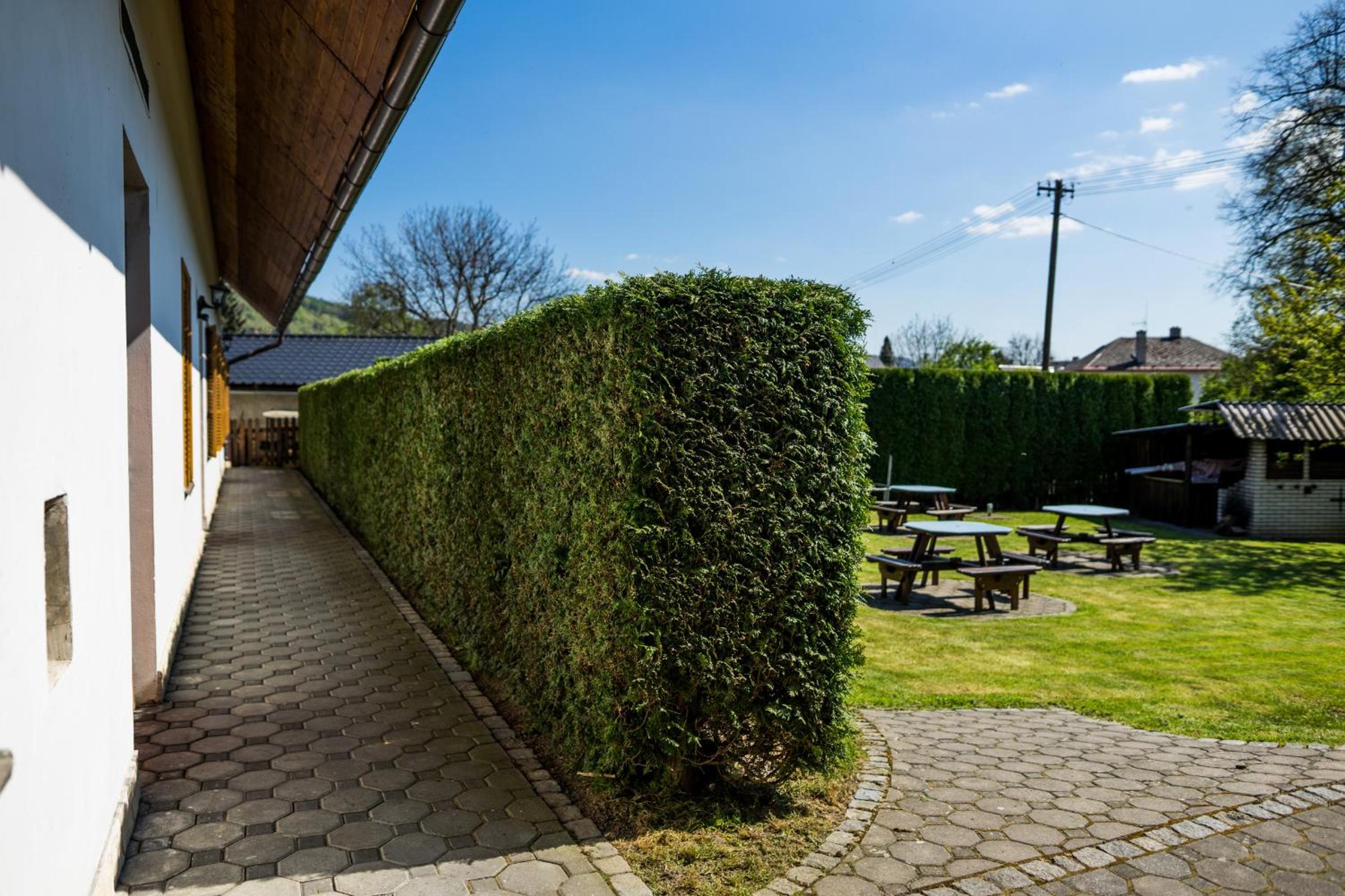 Penzion Terasa, bed & breakfast