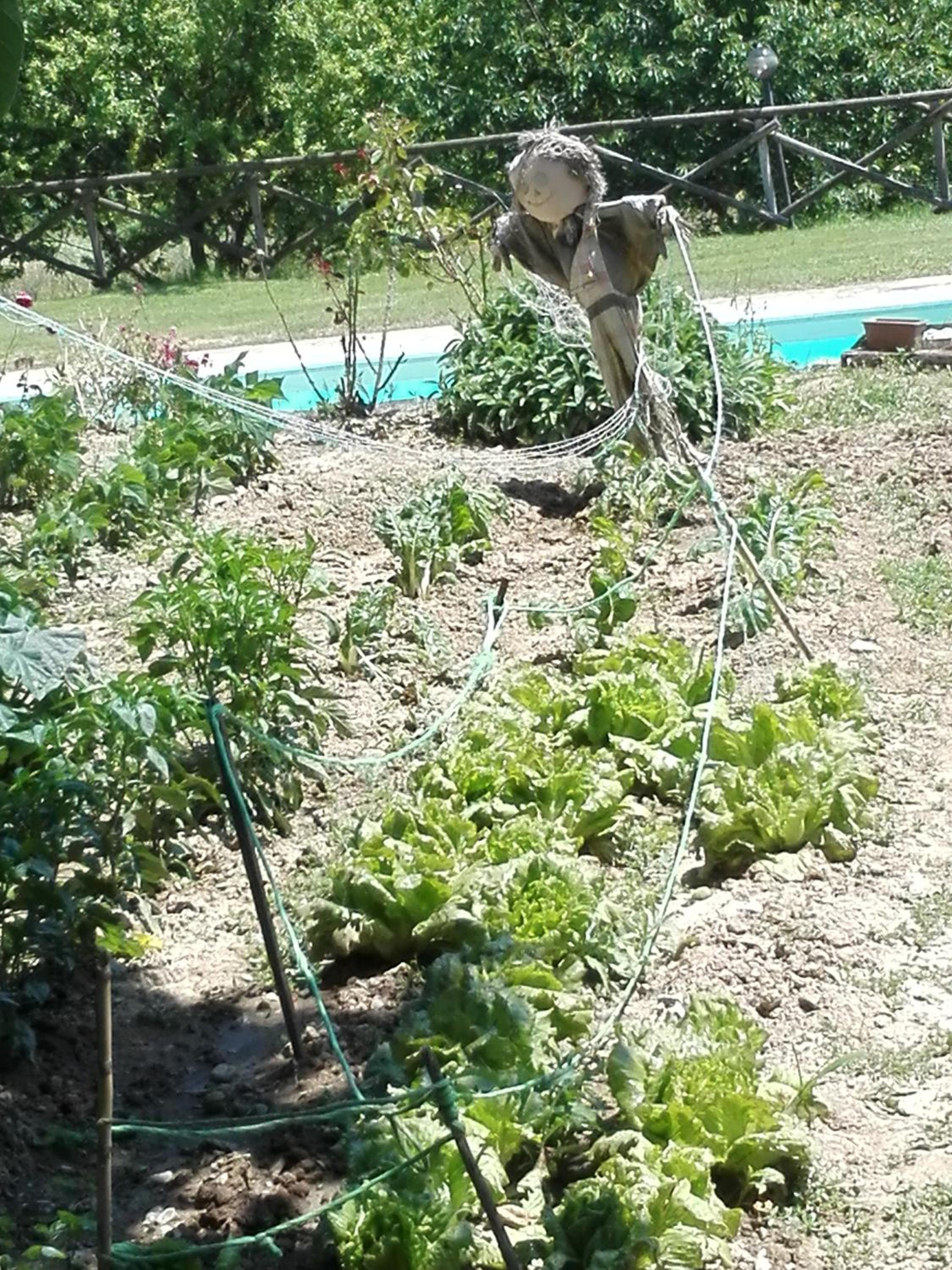 Fattoria di Rigone
