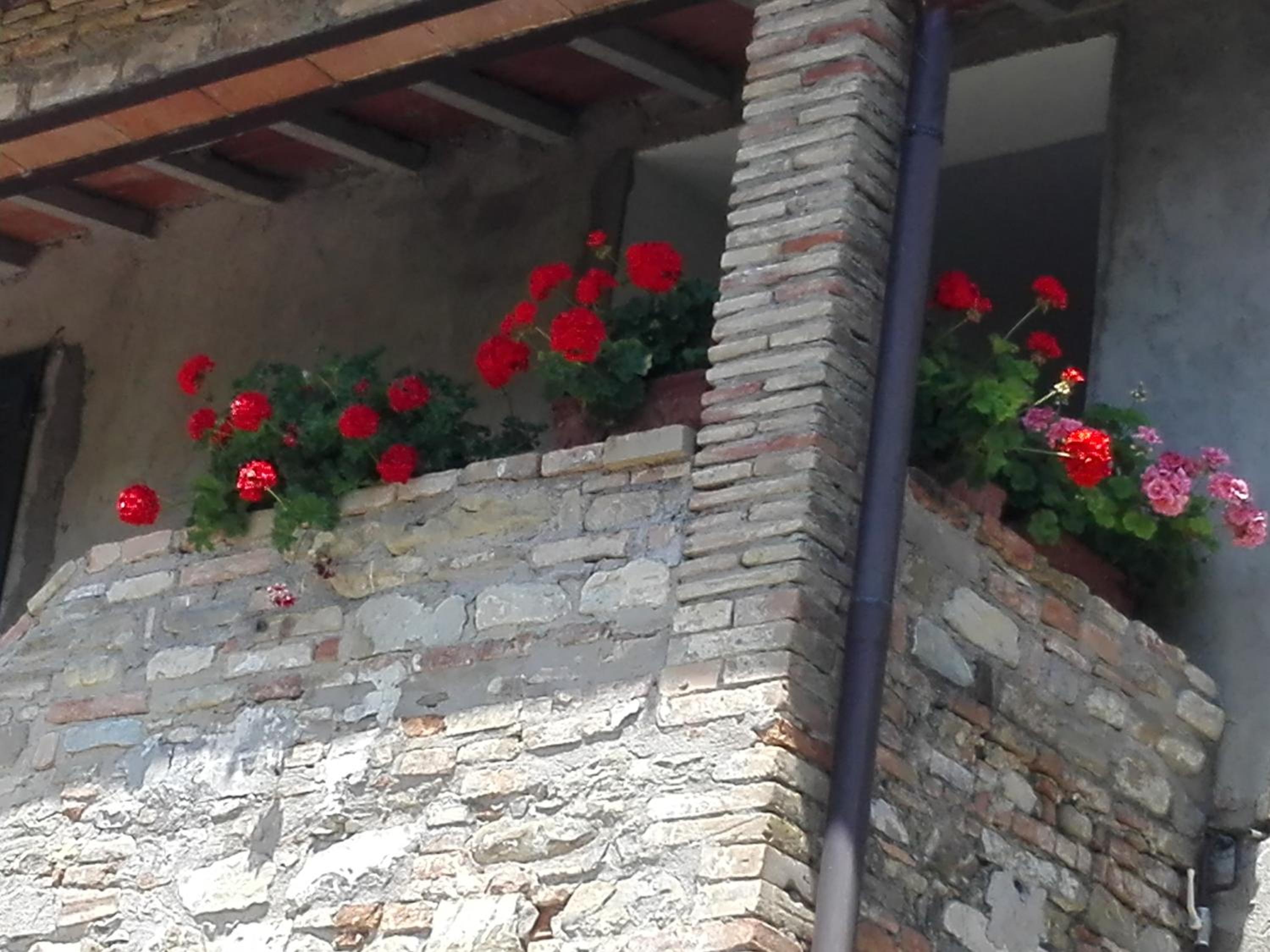 Fattoria di Rigone