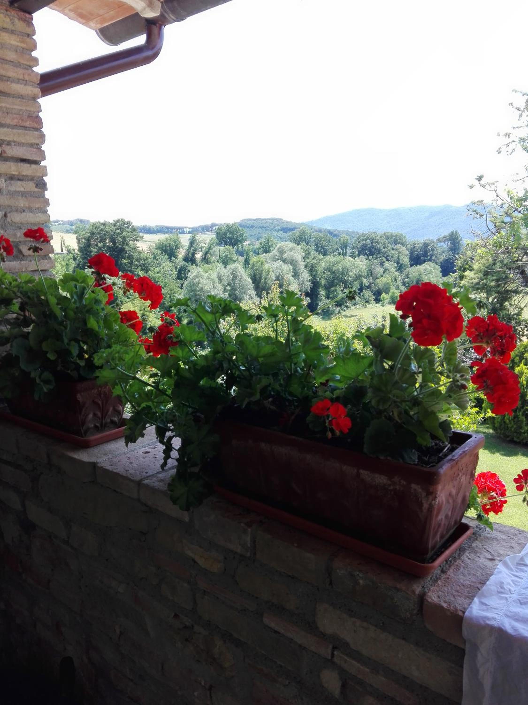 Fattoria di Rigone