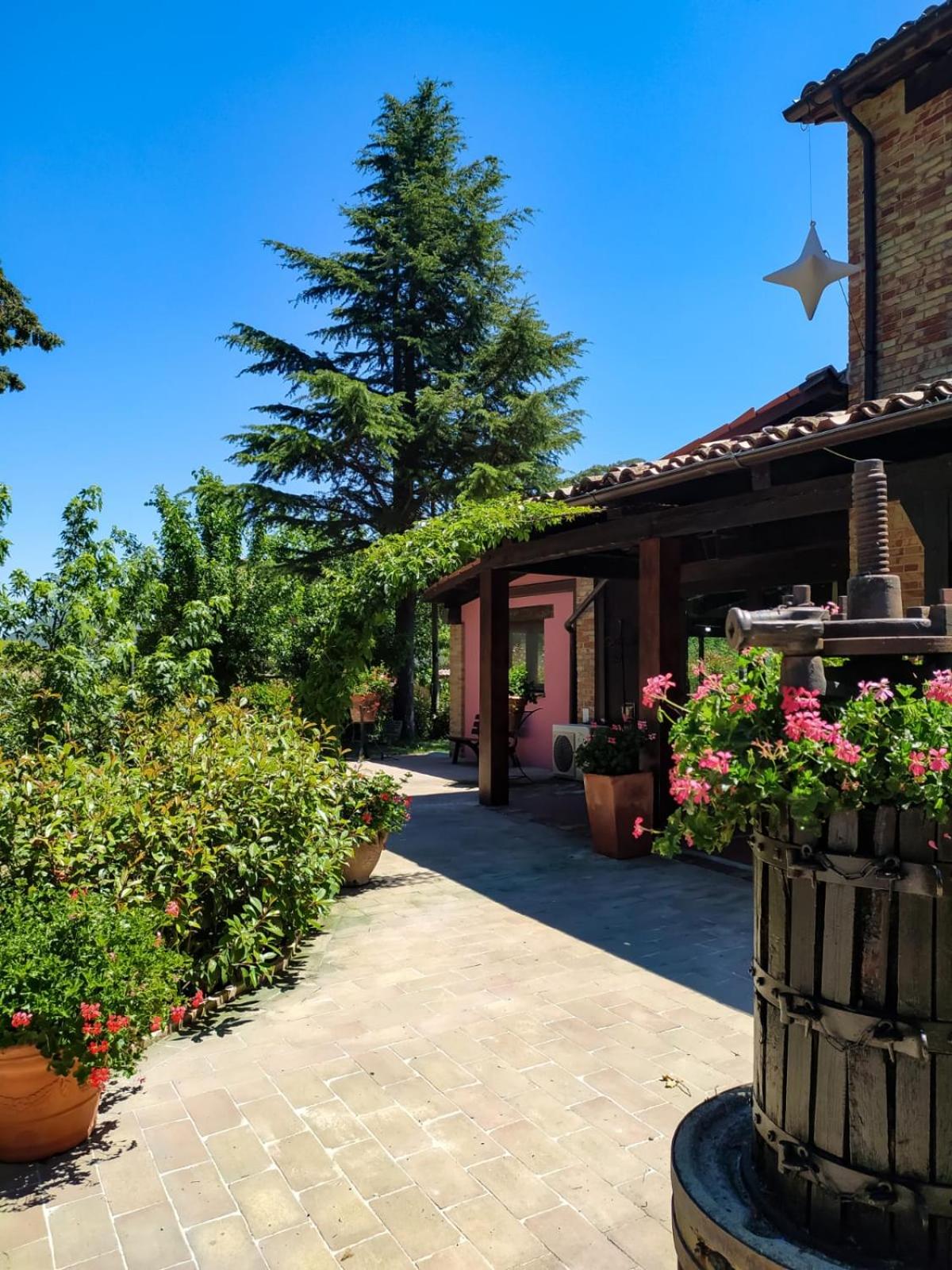 Agriturismo La Corte Sul Lago view 4
