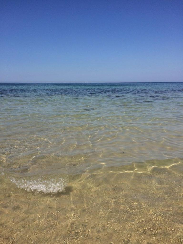 La Terrazza sul Mare photo 1