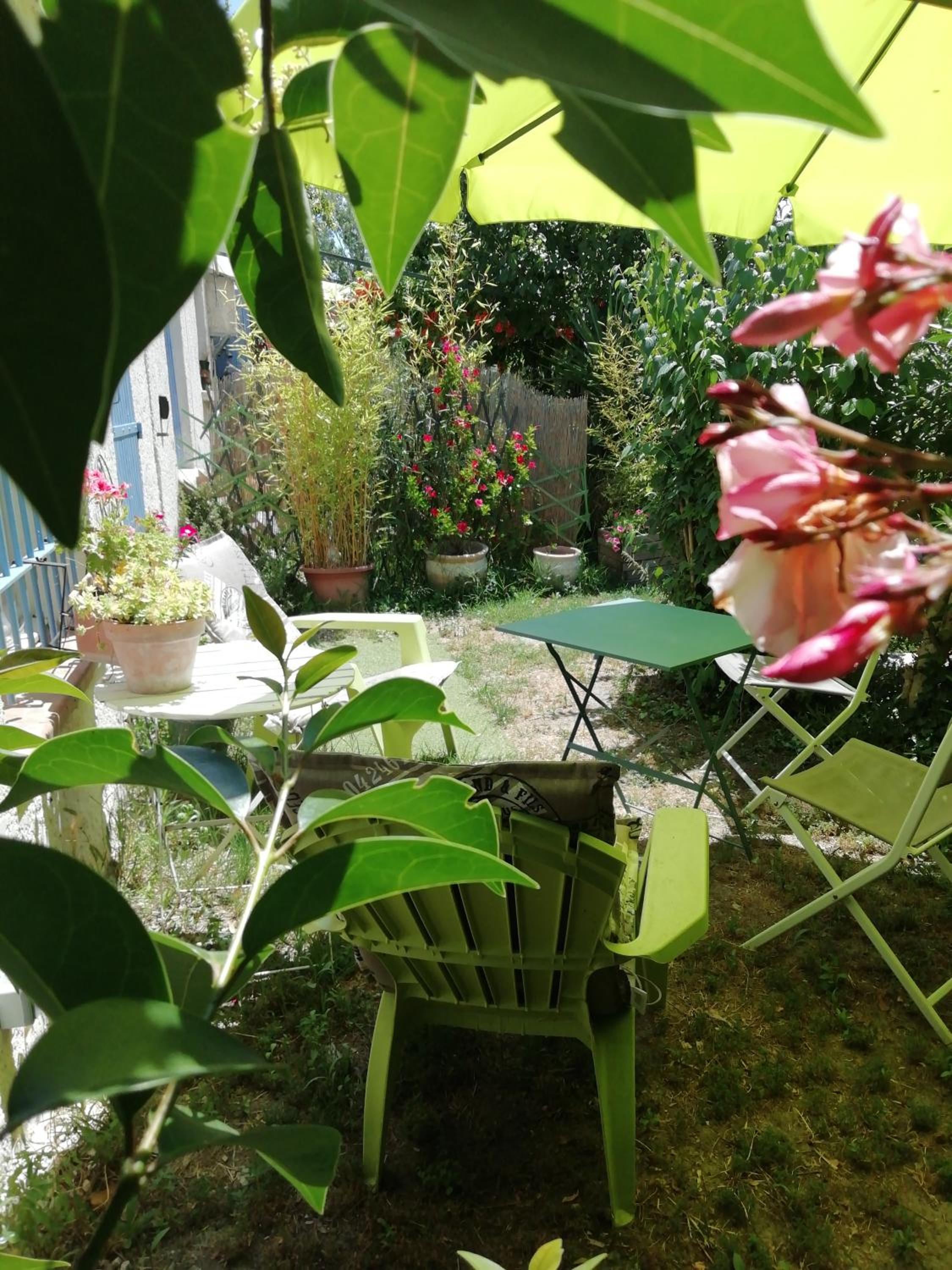 Photo 19