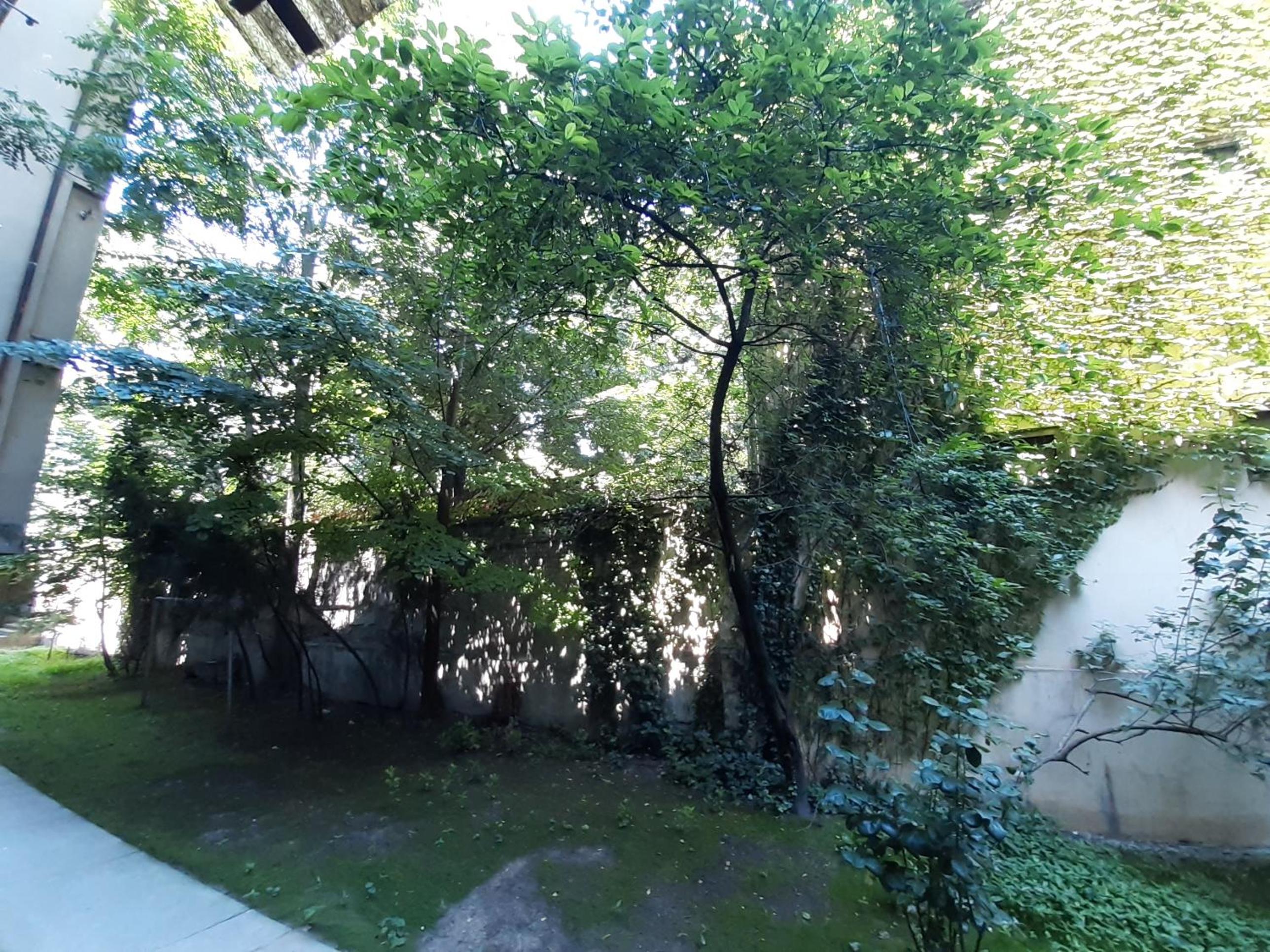 Downtown apartment in walk zone with 3 bedrooms and garage view 5