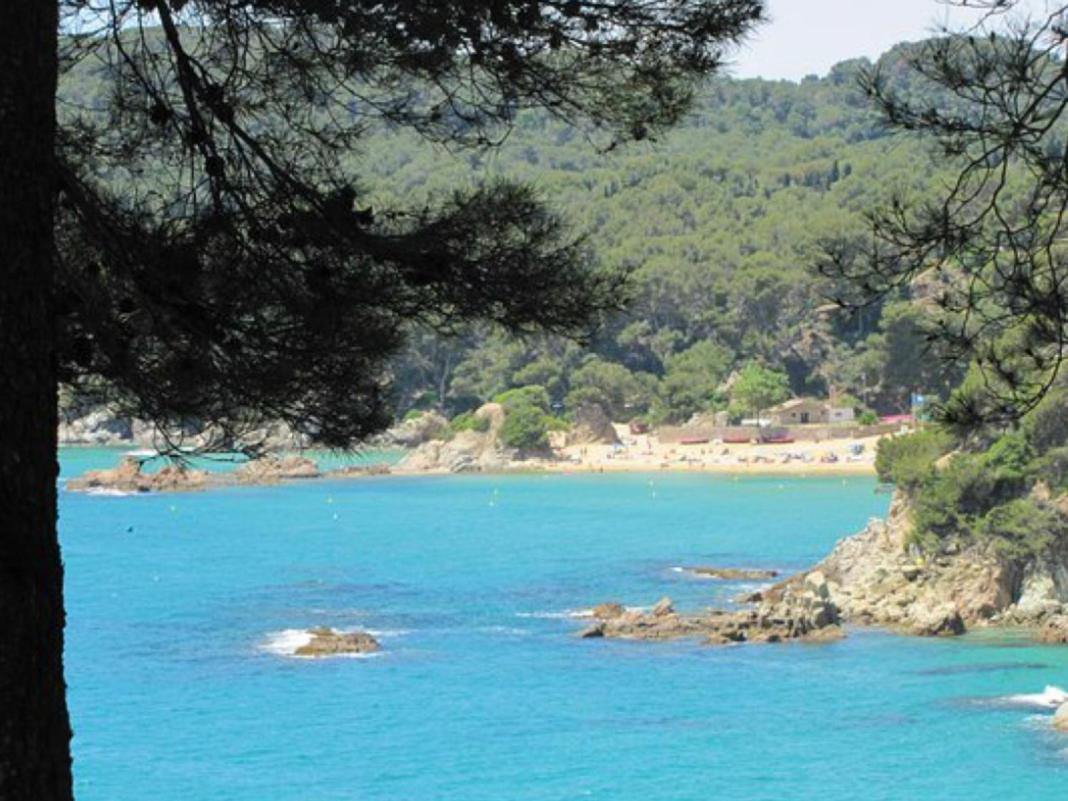 Sunny apartment Sa Boadella big solarium sea view