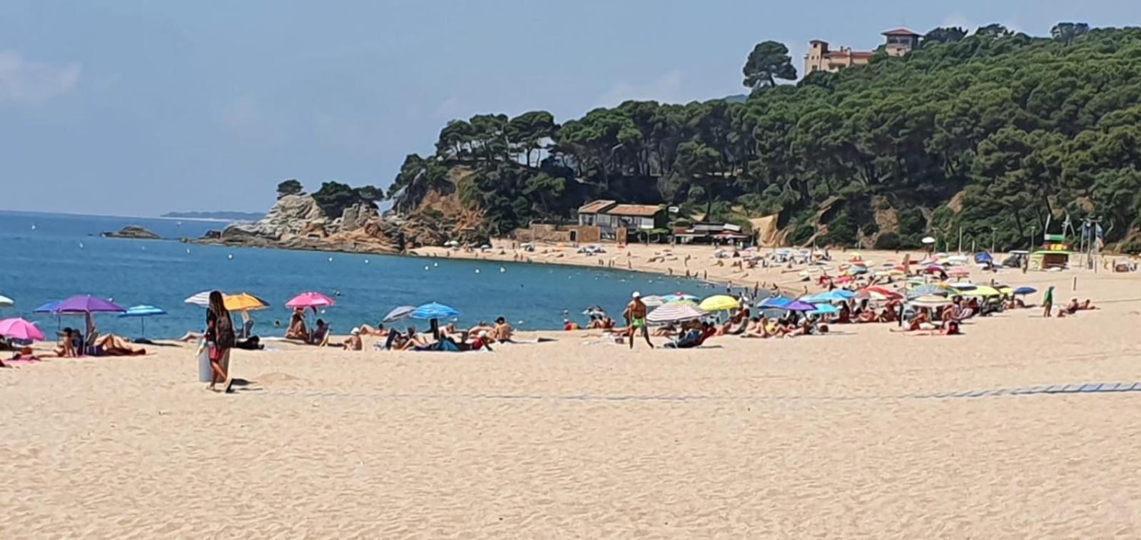 Sunny apartment Sa Boadella big solarium sea view