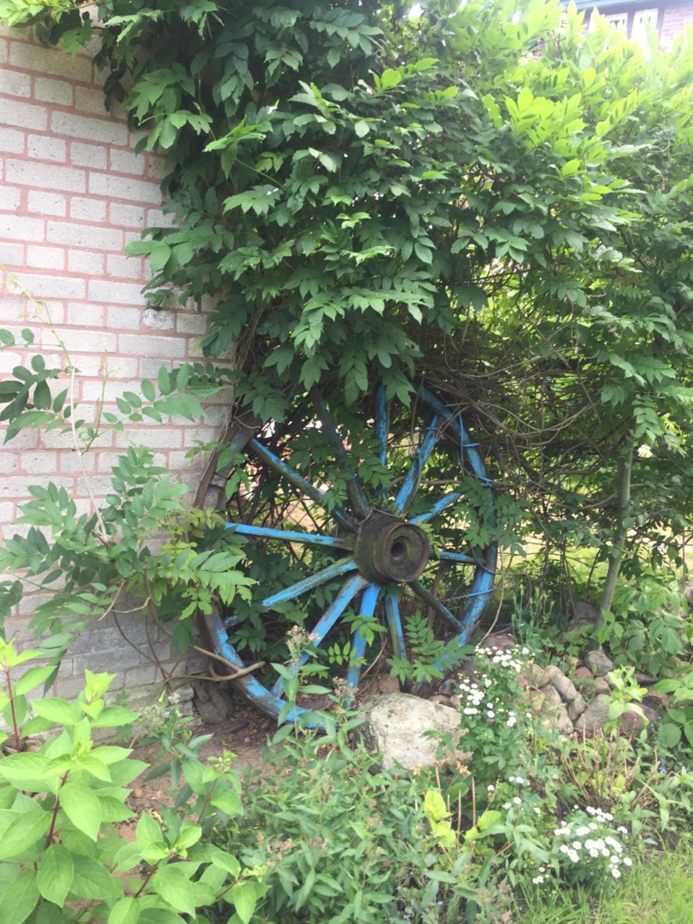 Photo 11