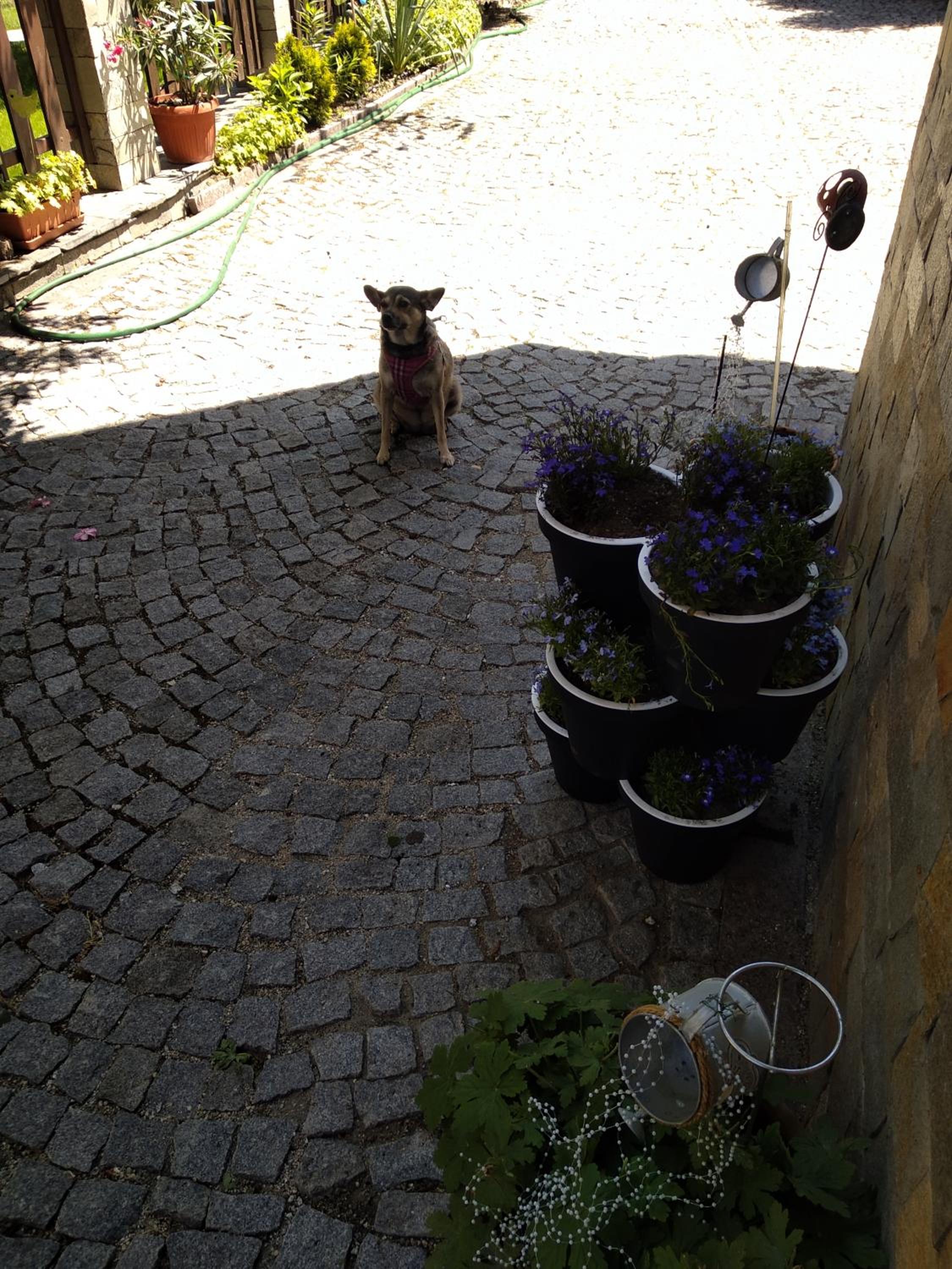 Photo 22