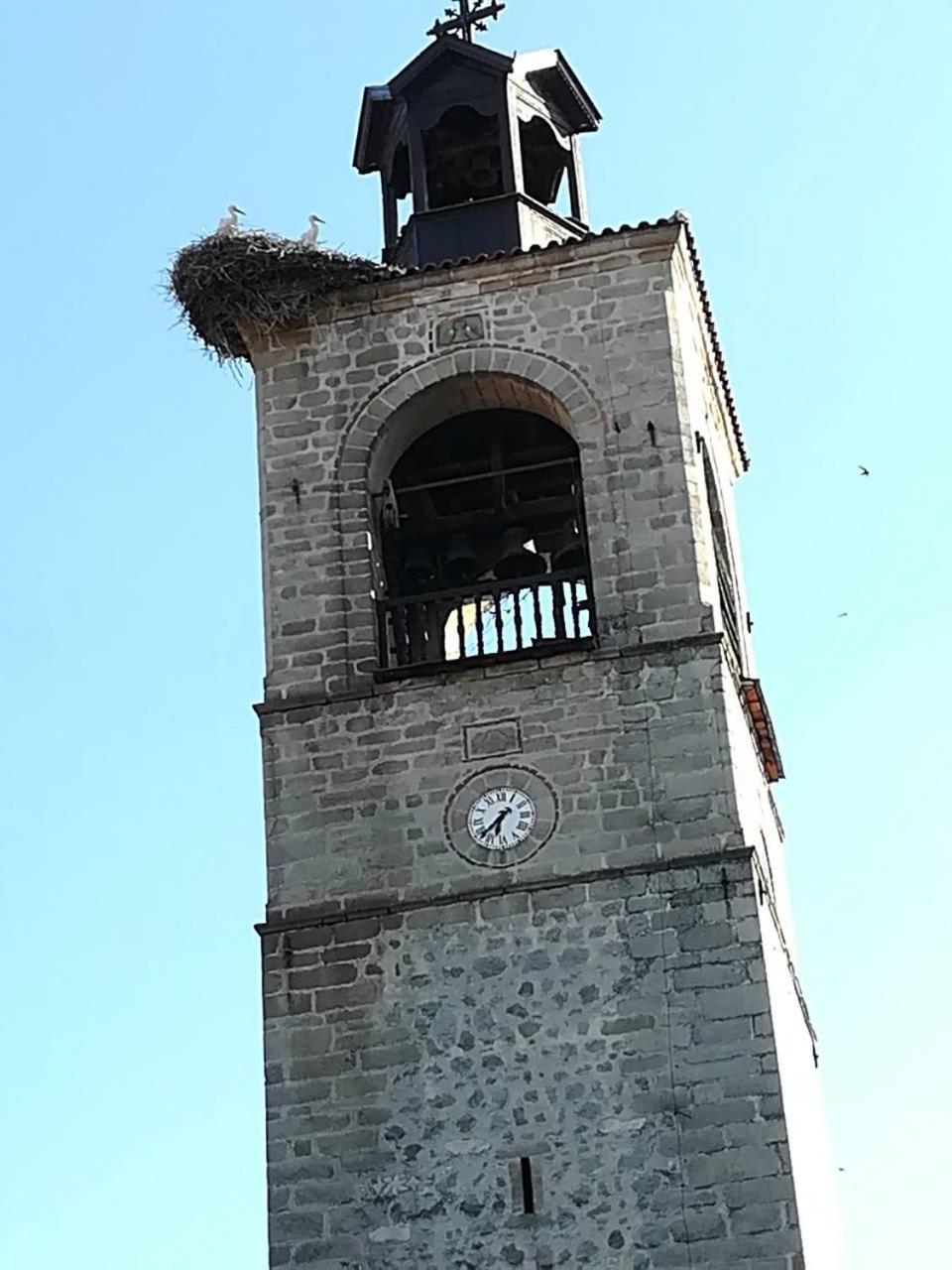 Photo 17