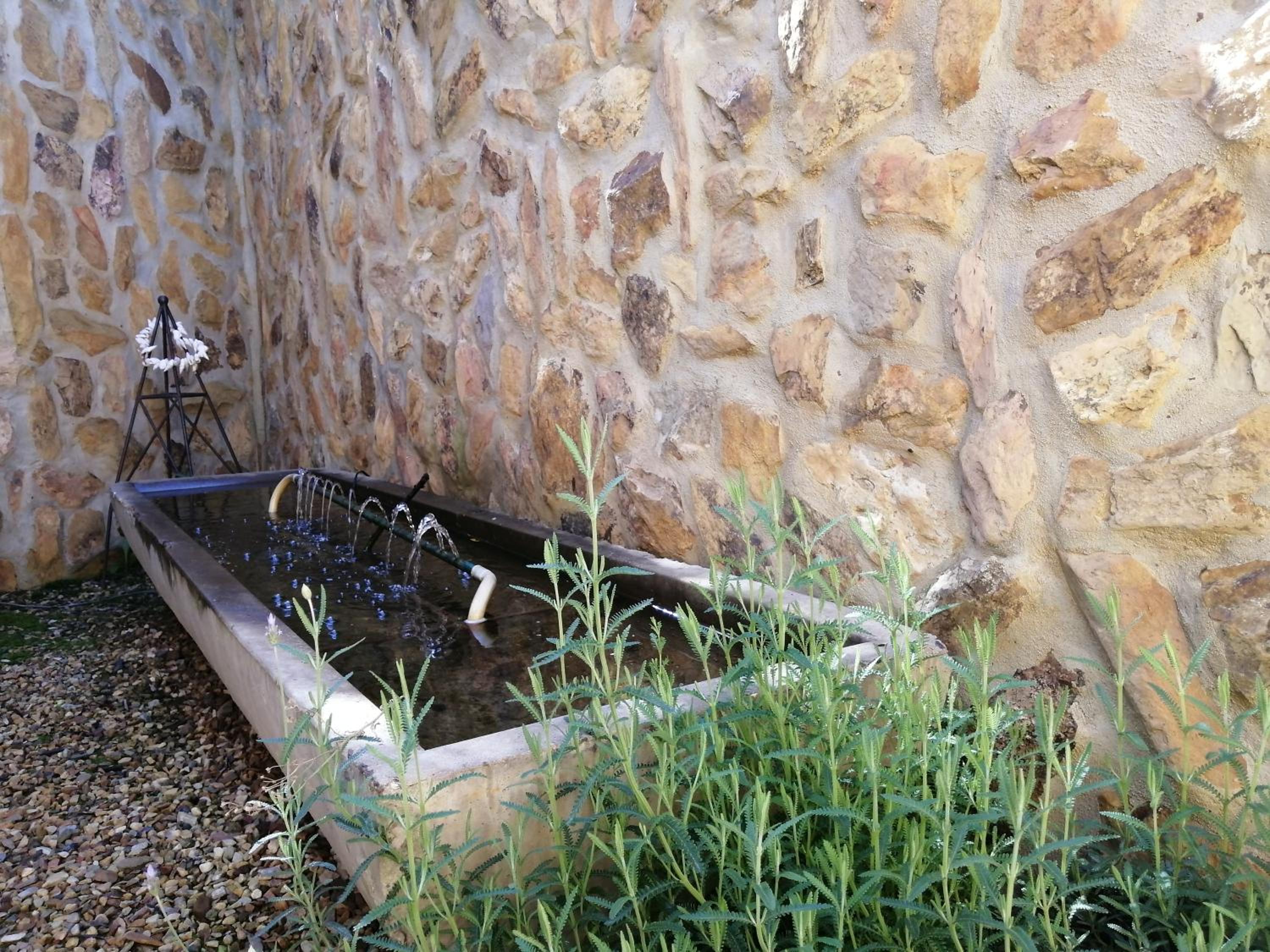 Photo 29