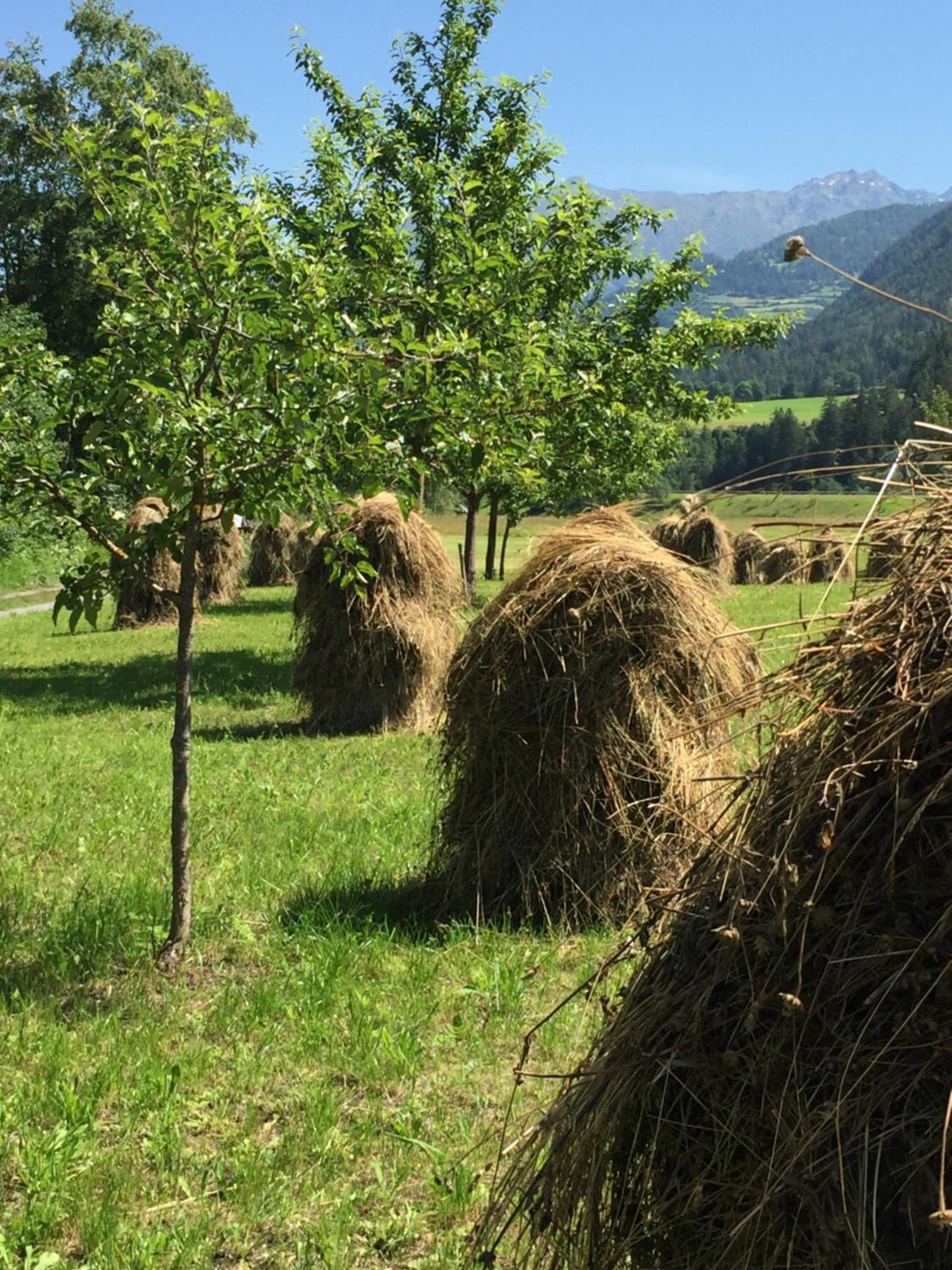 Photo 74