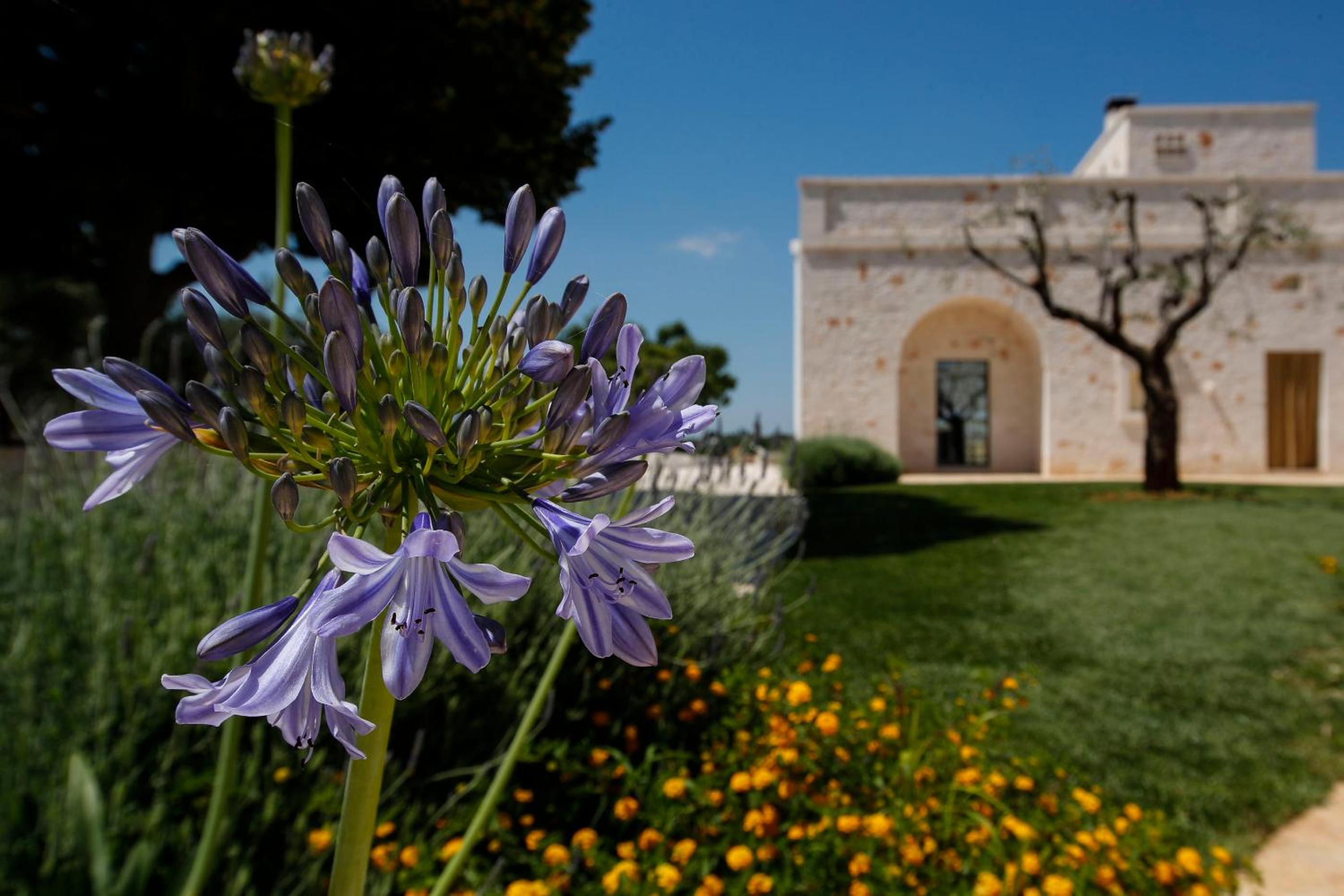 Trulli di Mezza view 3