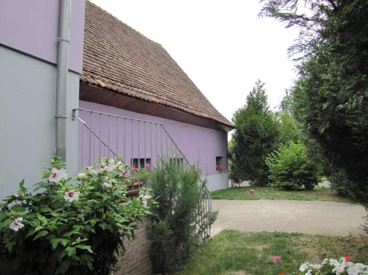 Photo 38