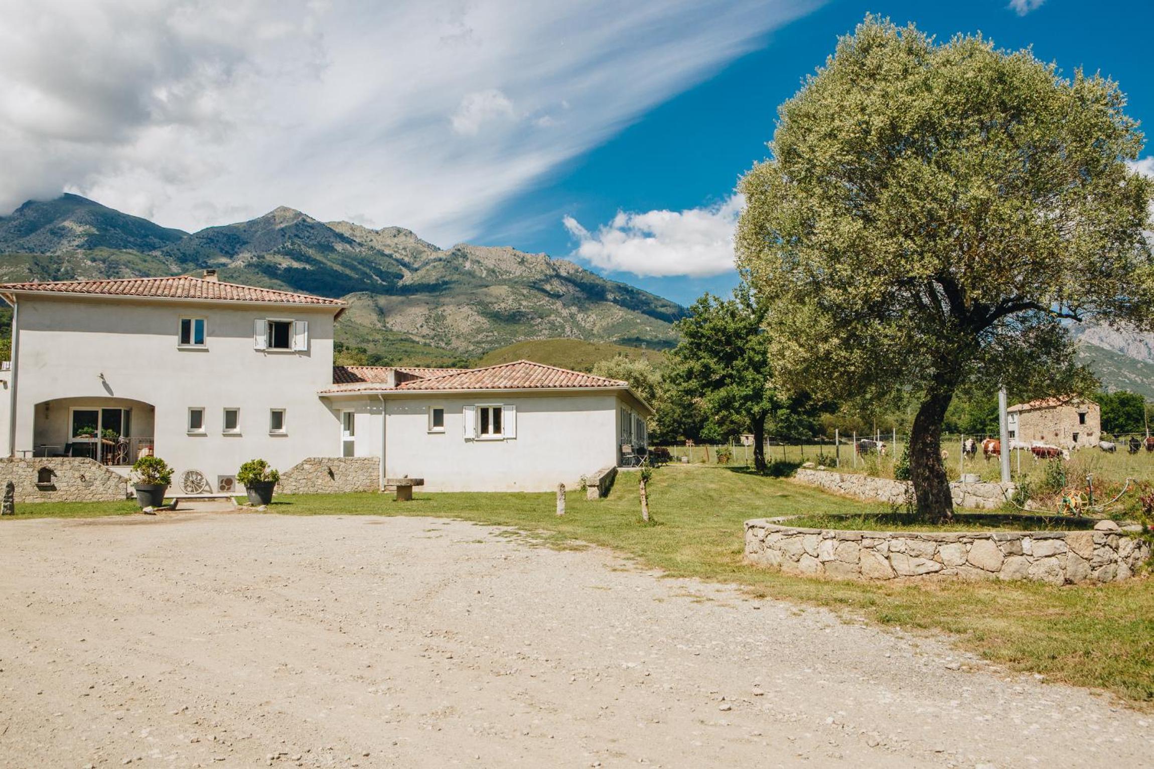 B&B A Chjusellina view 2