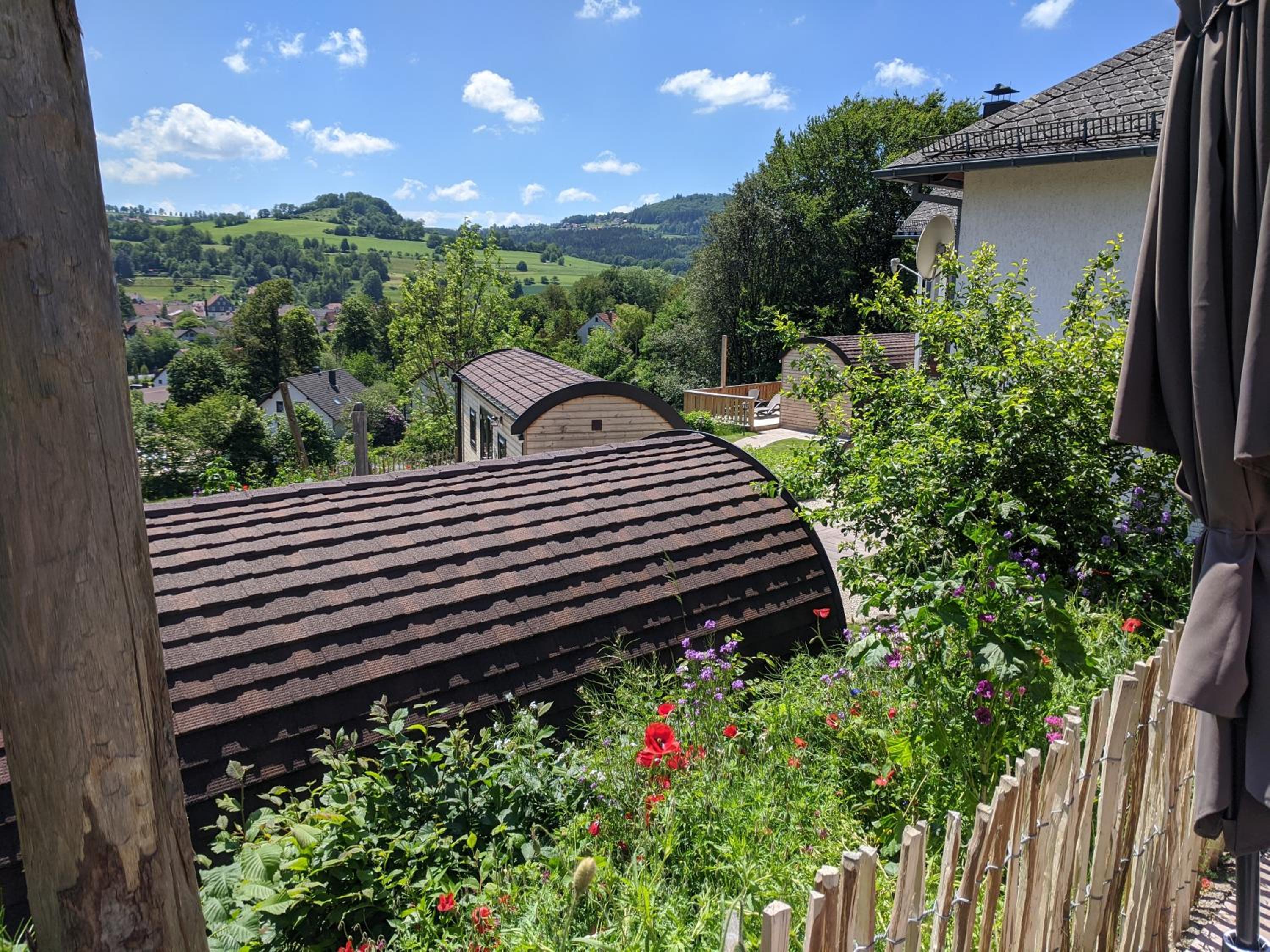 Photo 23