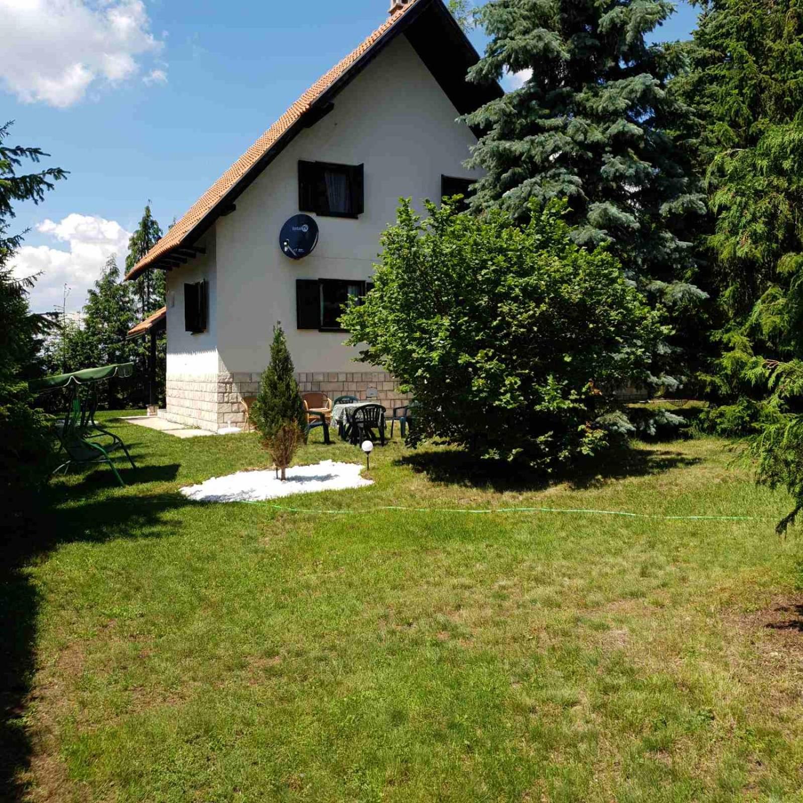 Photo 42