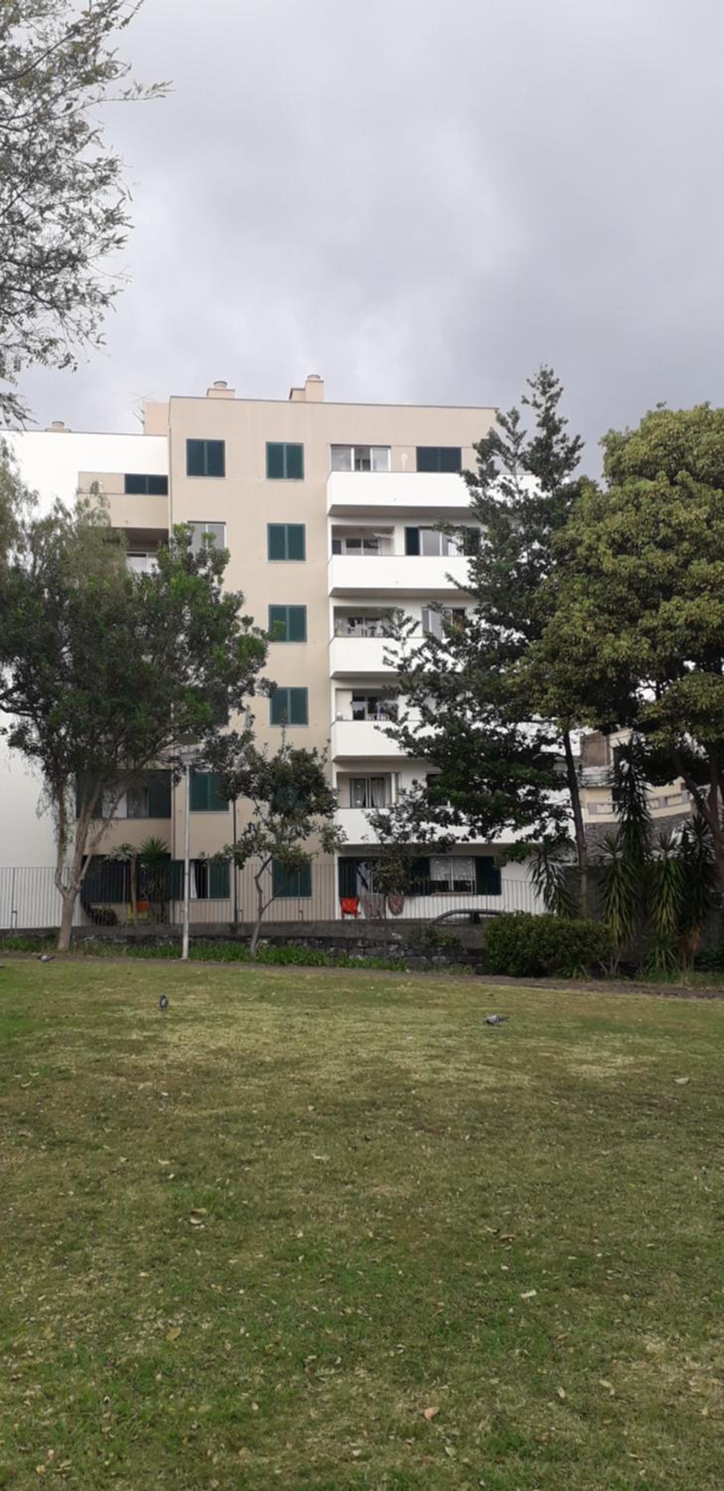 Funchal petrolhead apartment view 3