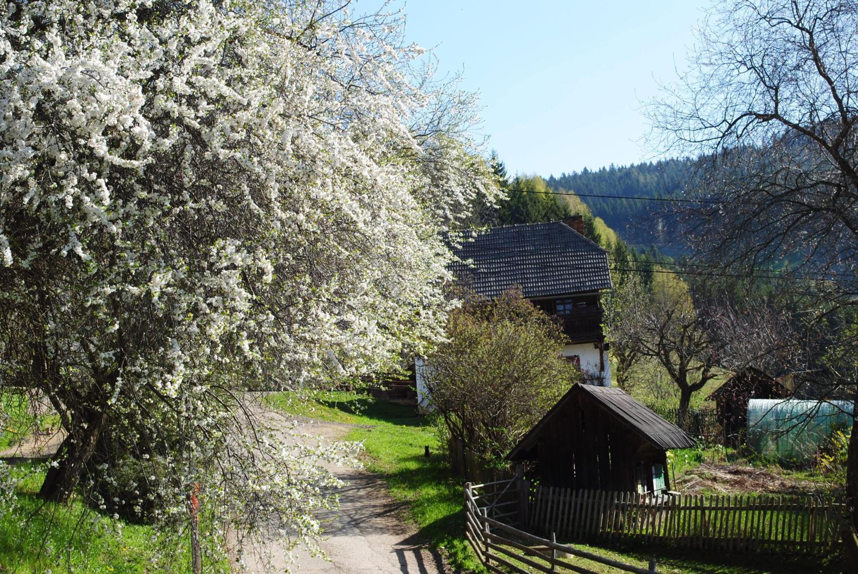 Schlintl-Hof