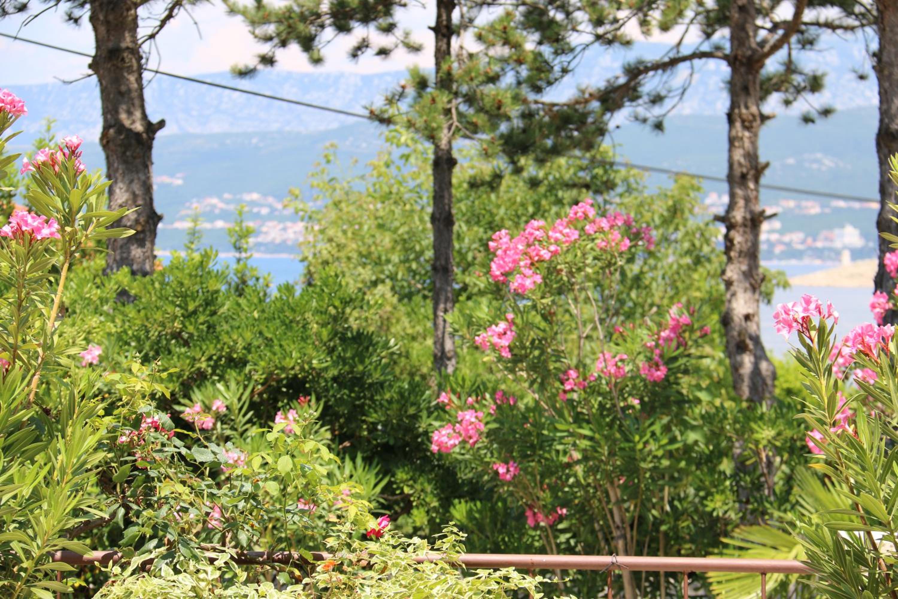 Apartments Grskovic G. Jesenovica view 4