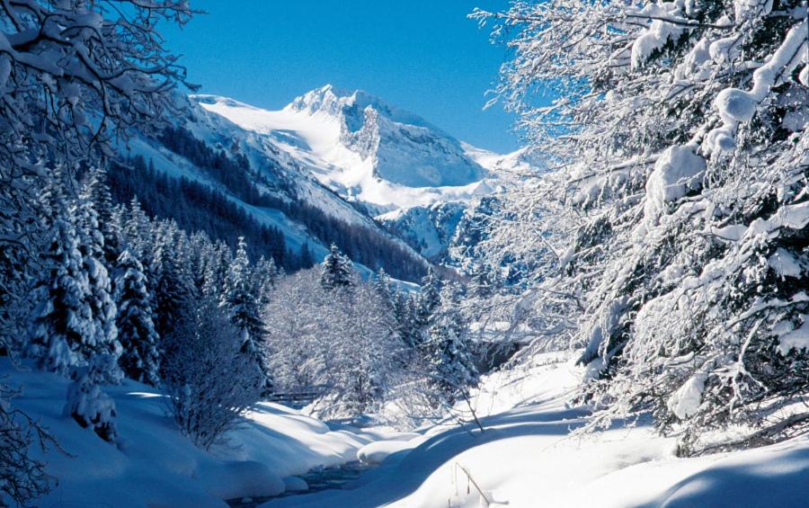 Ferienwohnung Alpenheim view 3