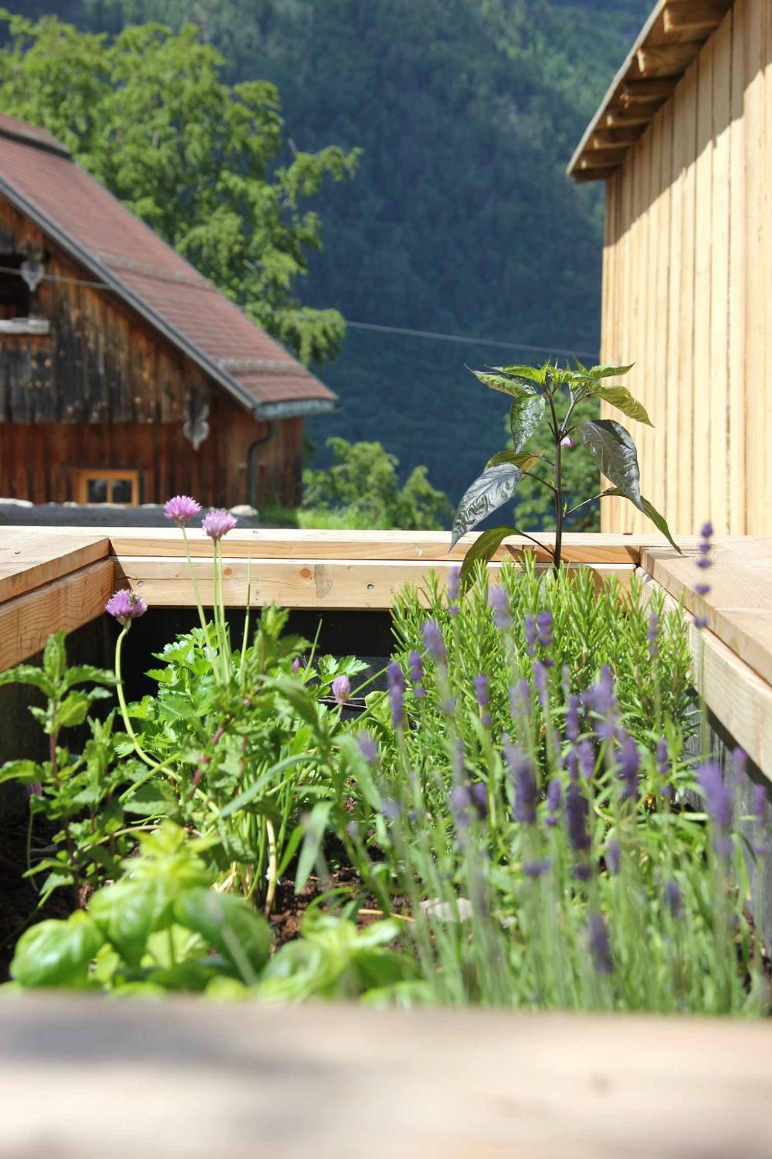 Haus am Salz mit Sauna