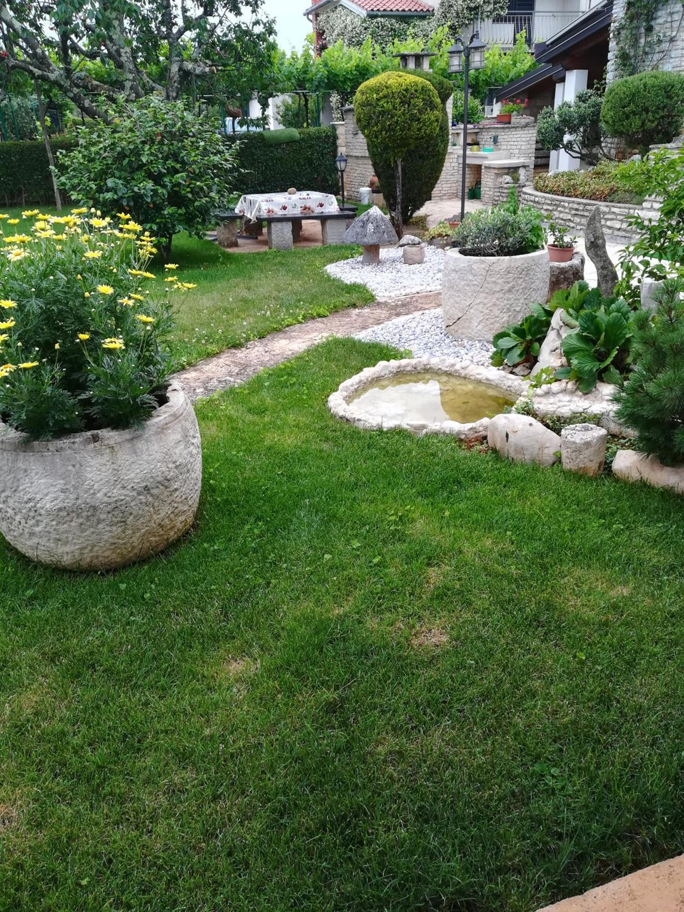 Photo 61