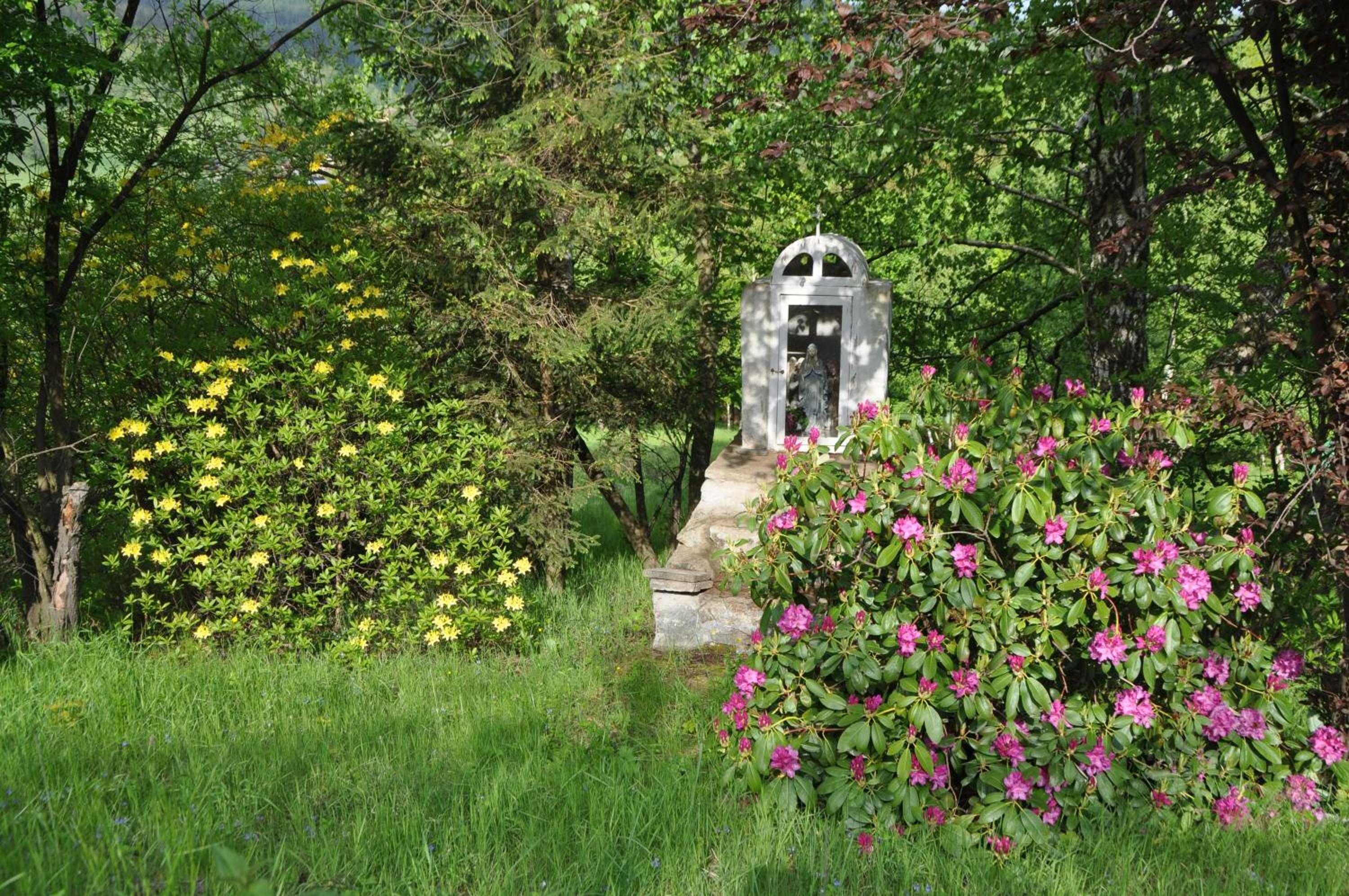 Photo 12