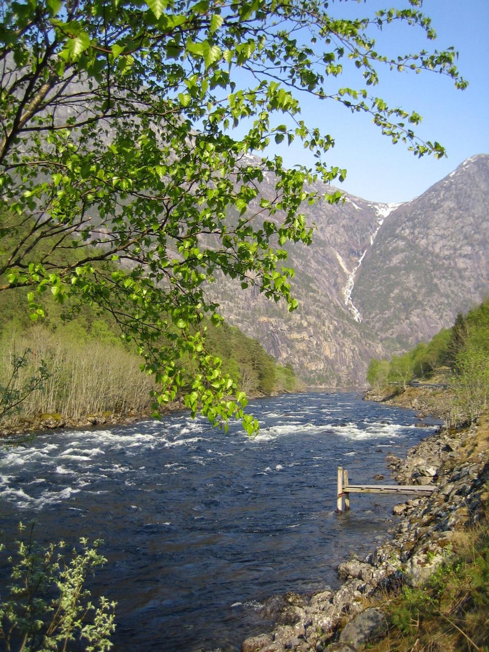 Photo 10