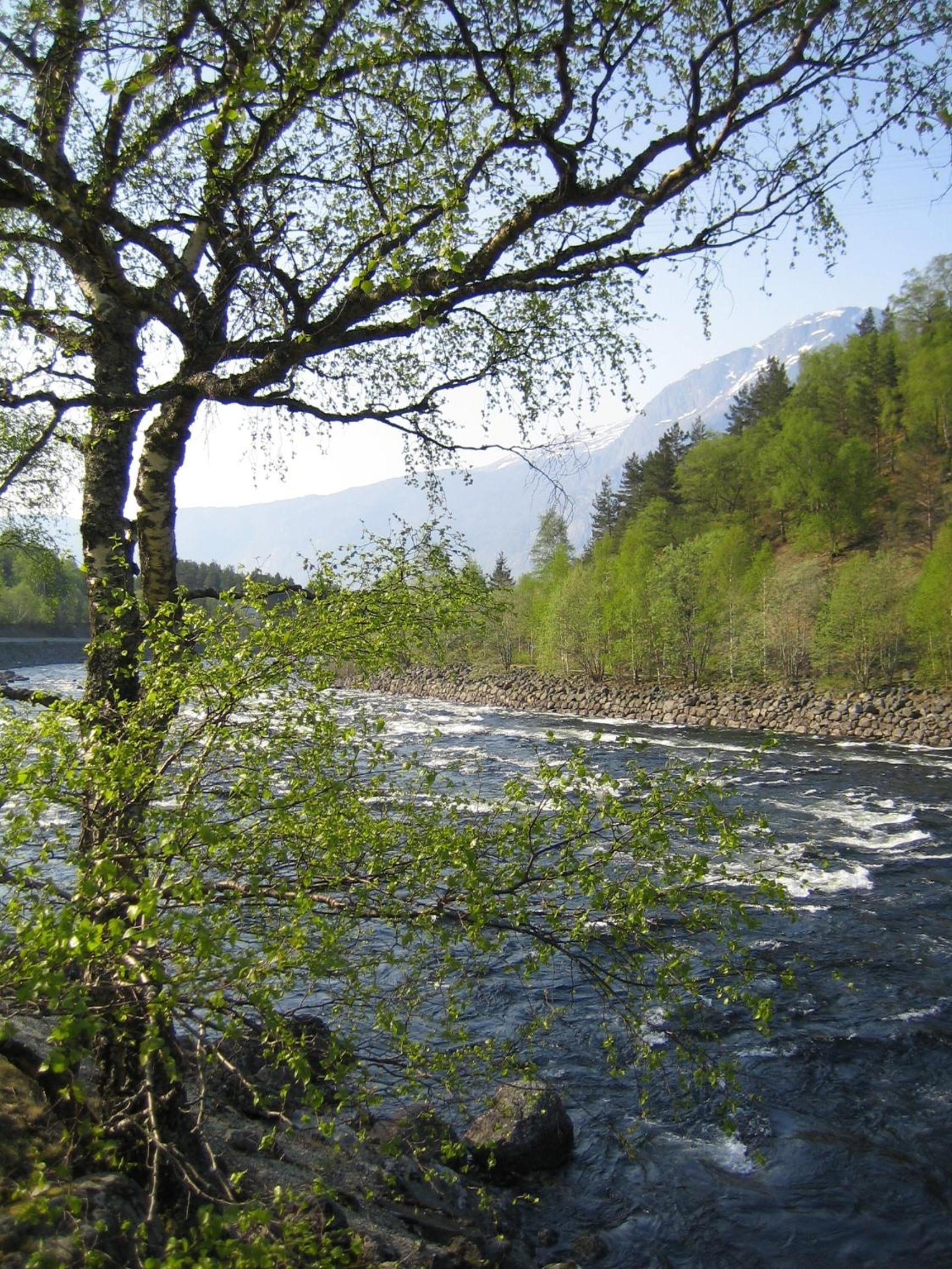 Photo 23