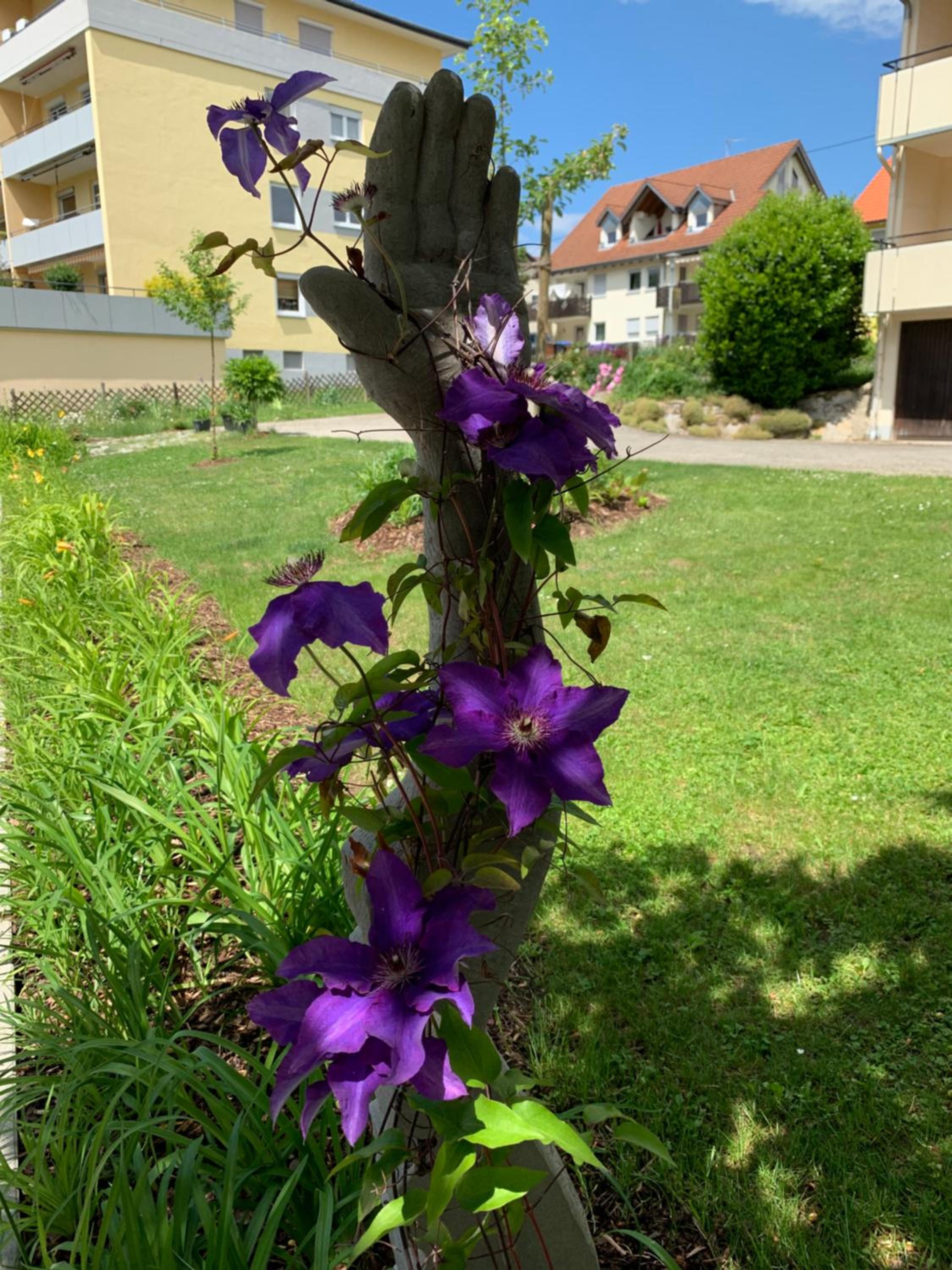 Ferienwohnung triLogie am See - Schmetterling