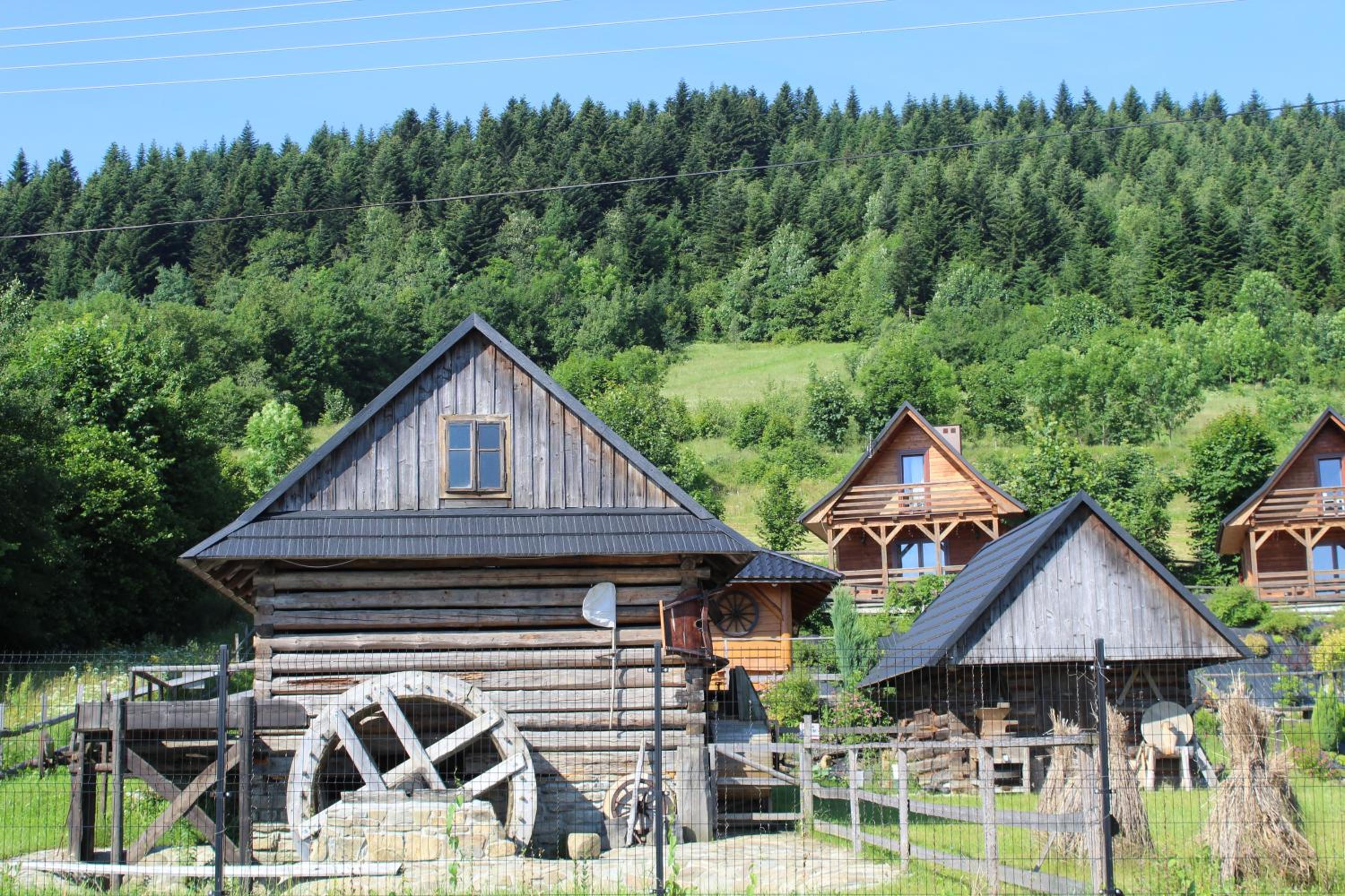 Photo 45