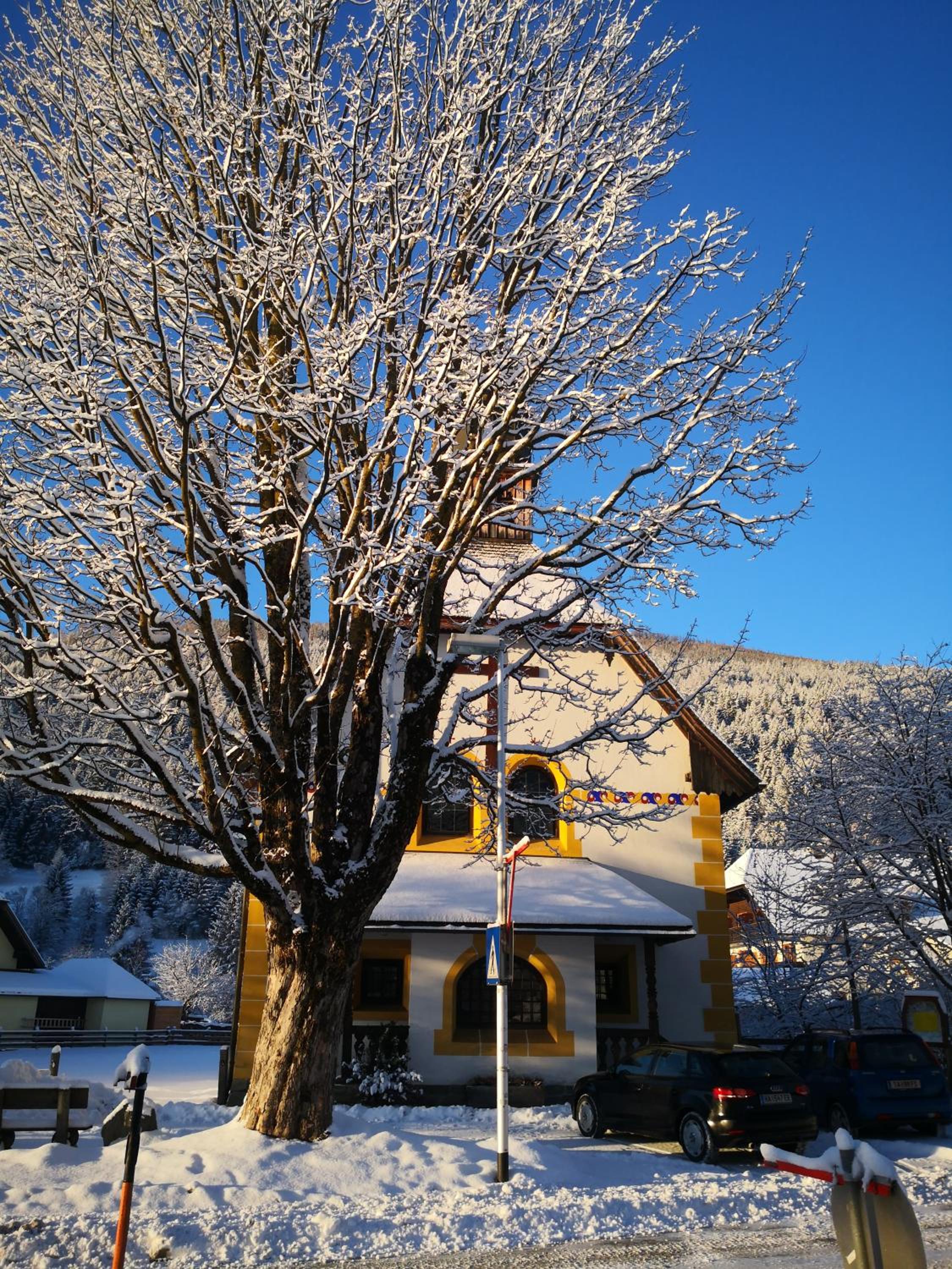 ALPINpelso