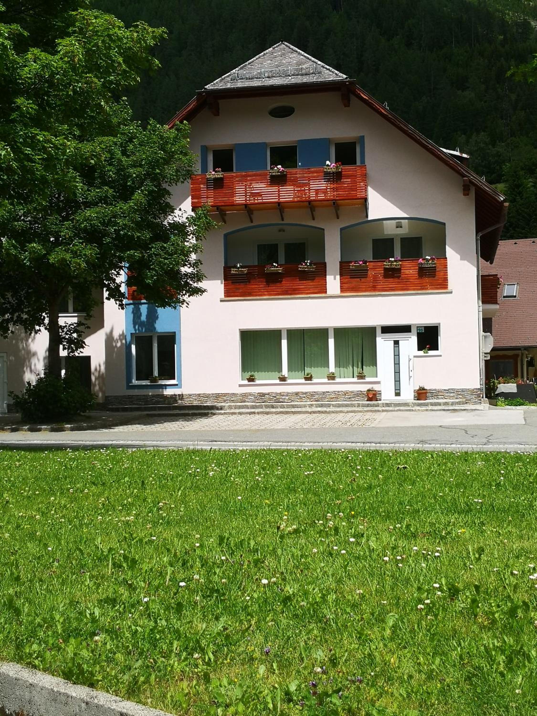 ALPINpelso