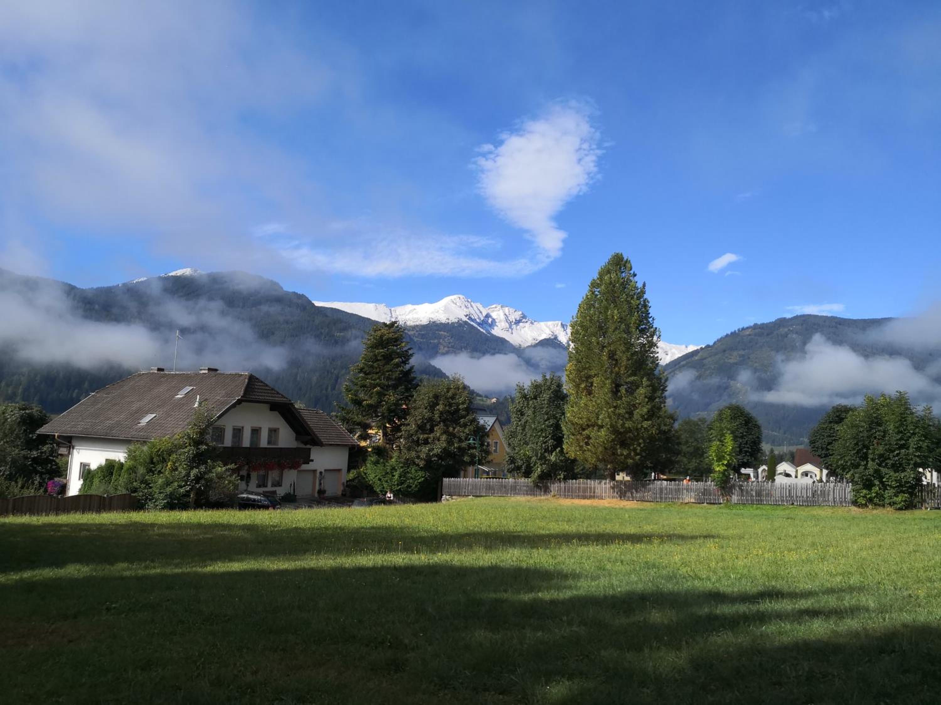 ALPINpelso