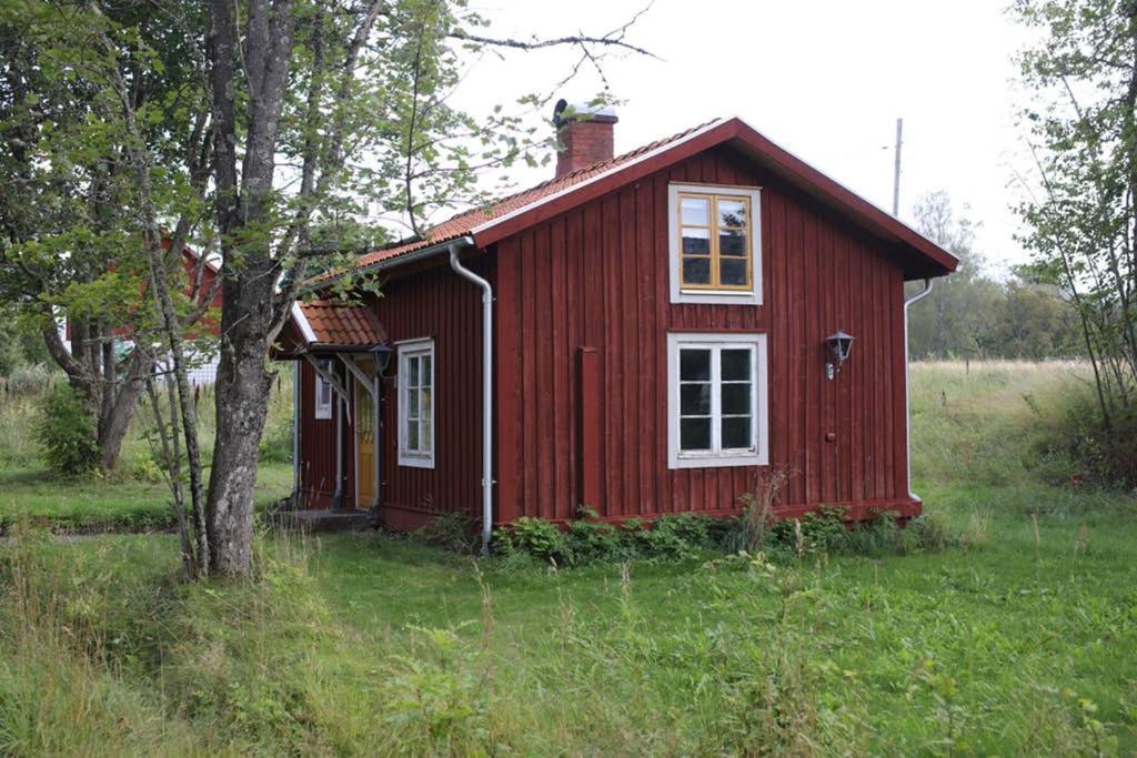 Sjönära stuga med båt och bastu view 4