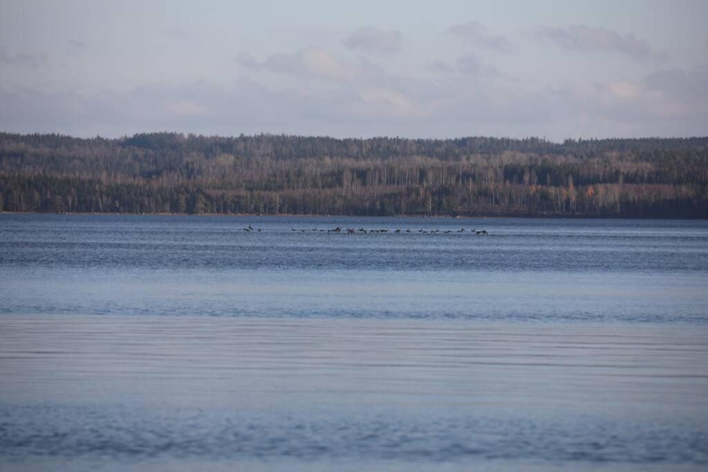 Photo 40