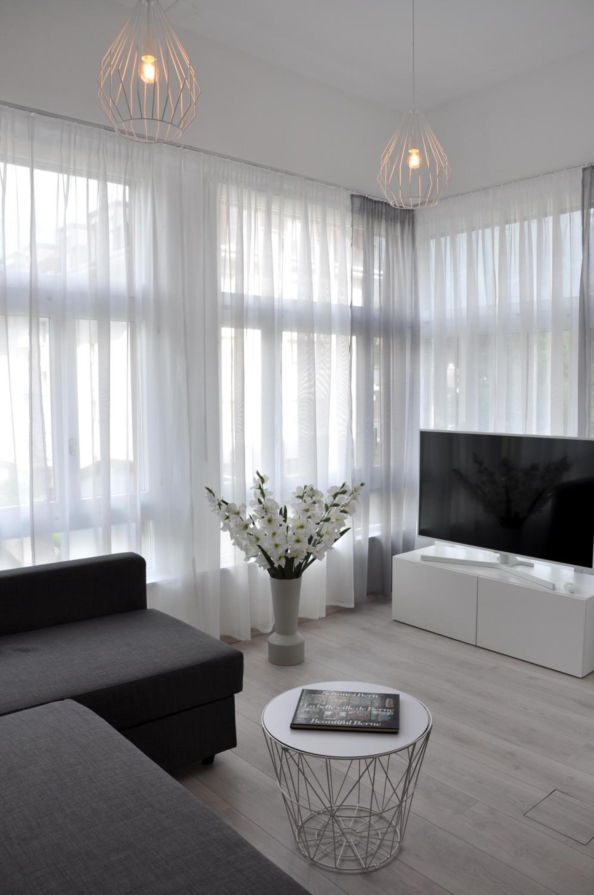Full of light central apartment overlooking Jungfrau mountain view 3