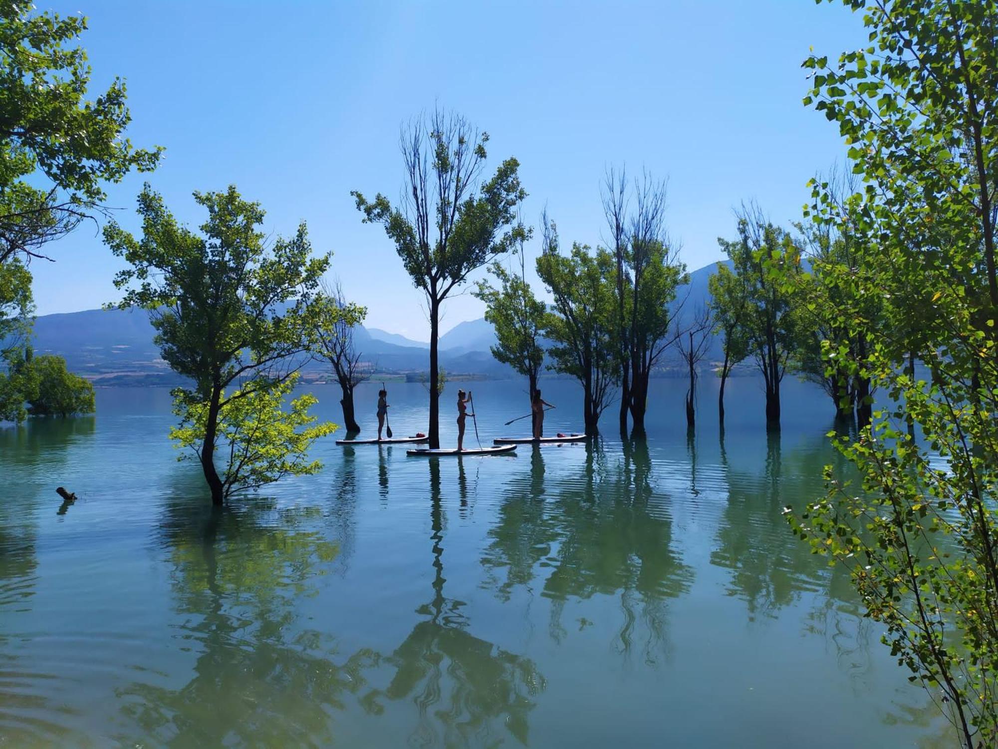 Lo Peressall Blau