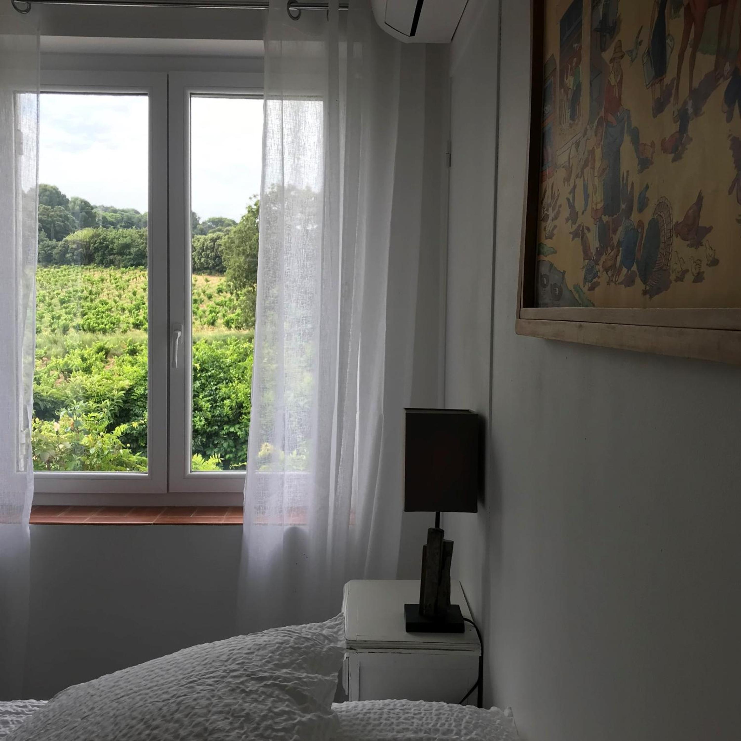 Orange Vacations - Chambres d'Hotes et Gites Le Mas Mellou - Property Image 14