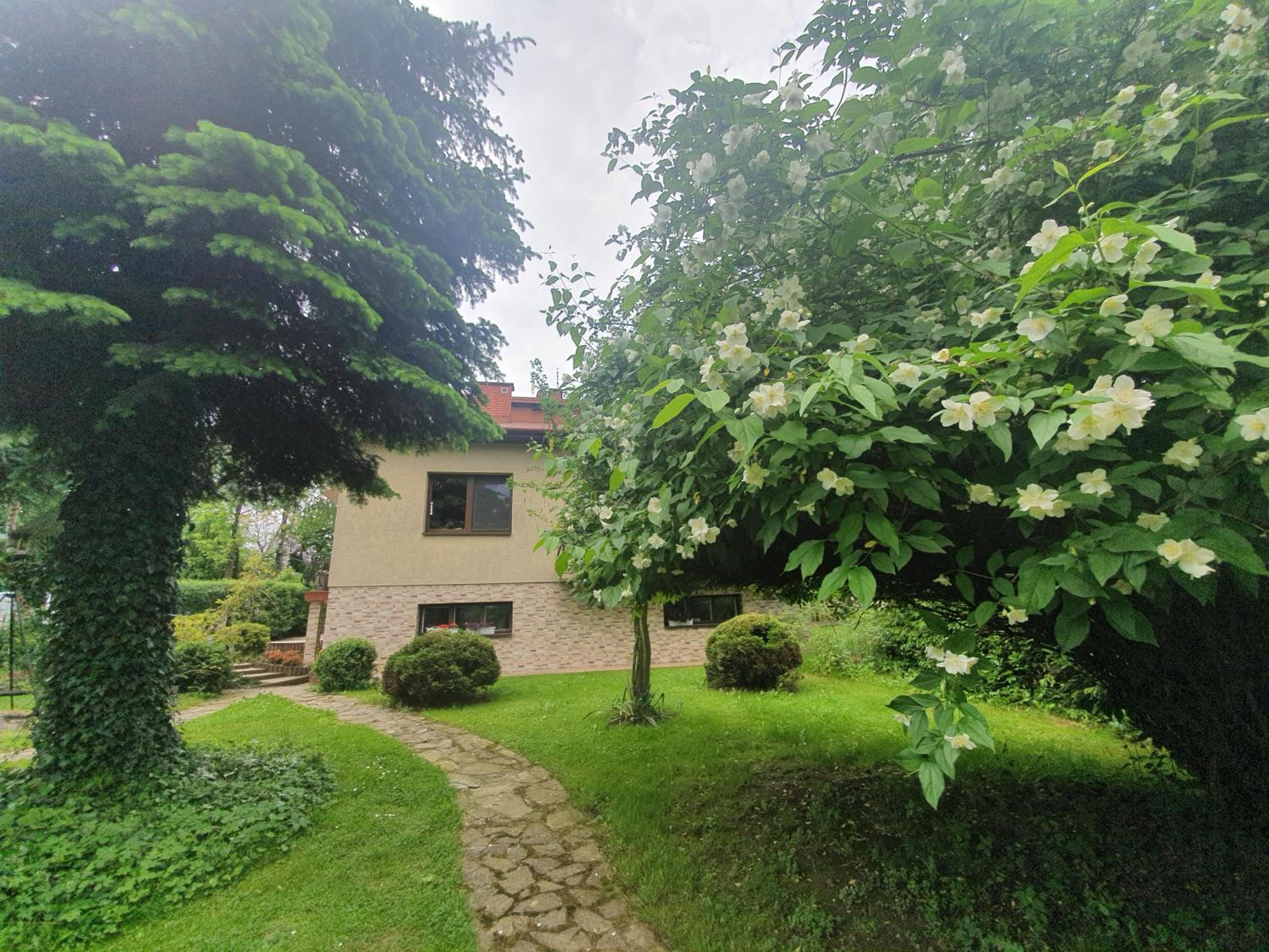 Photo 26