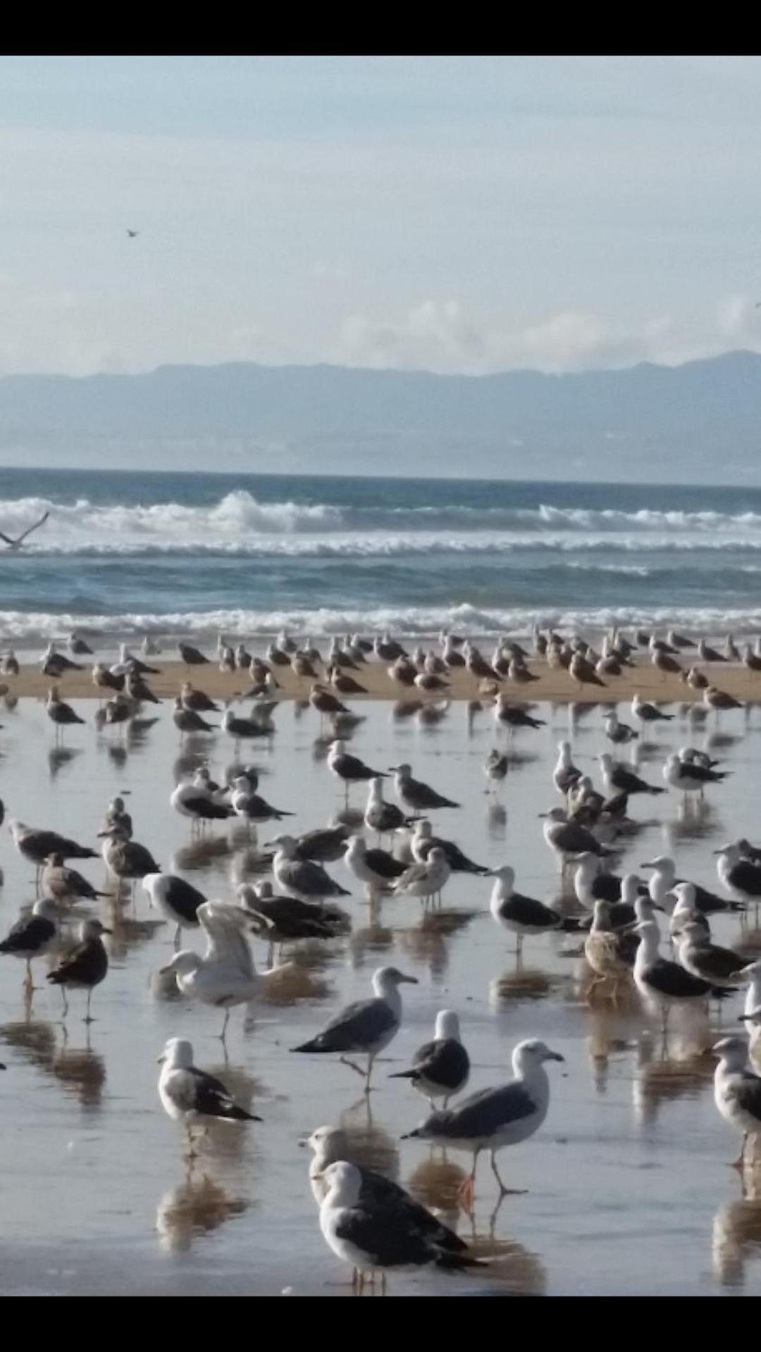 Sunset Beach en Costa da Caparica