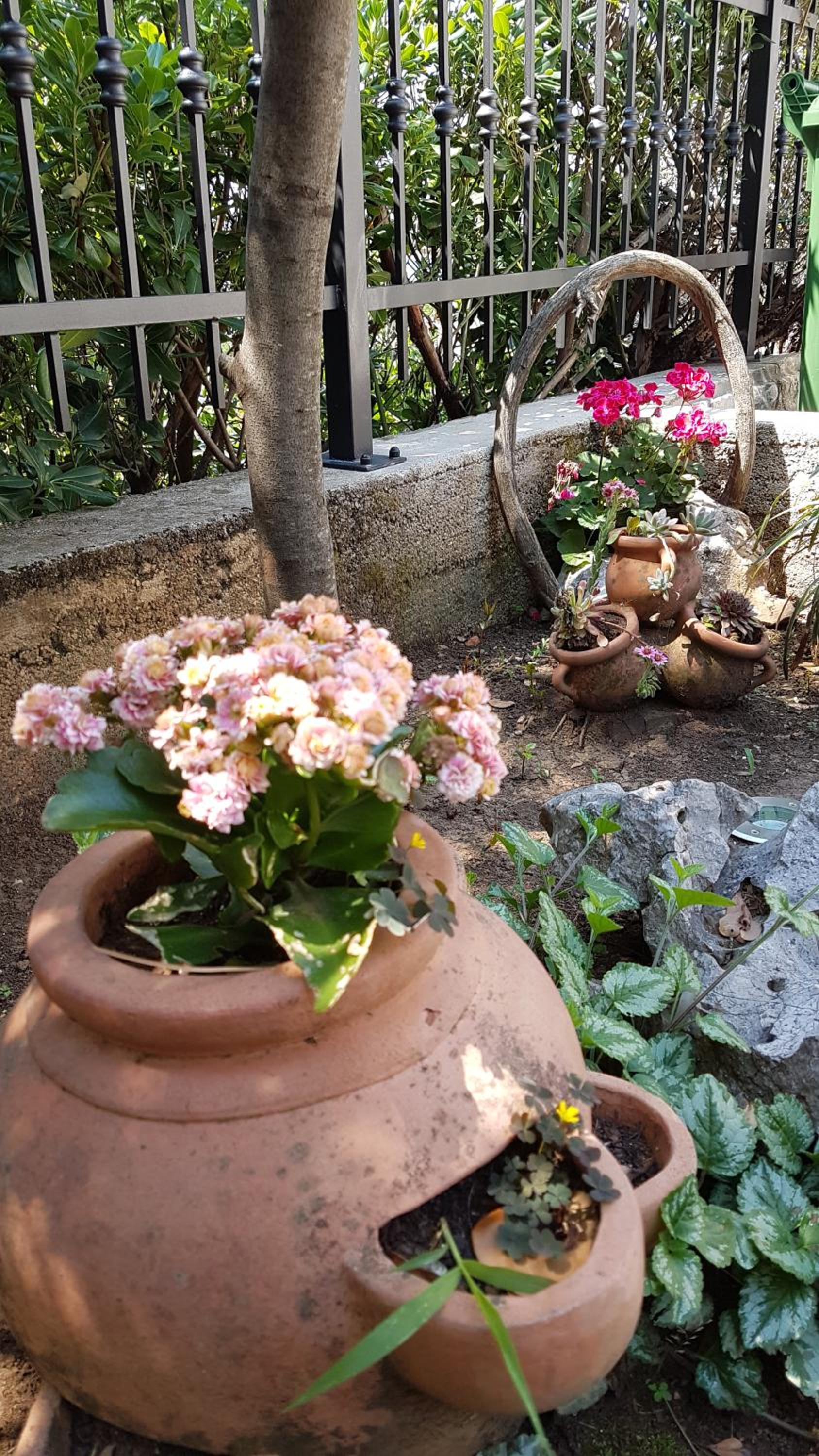 Photo 16