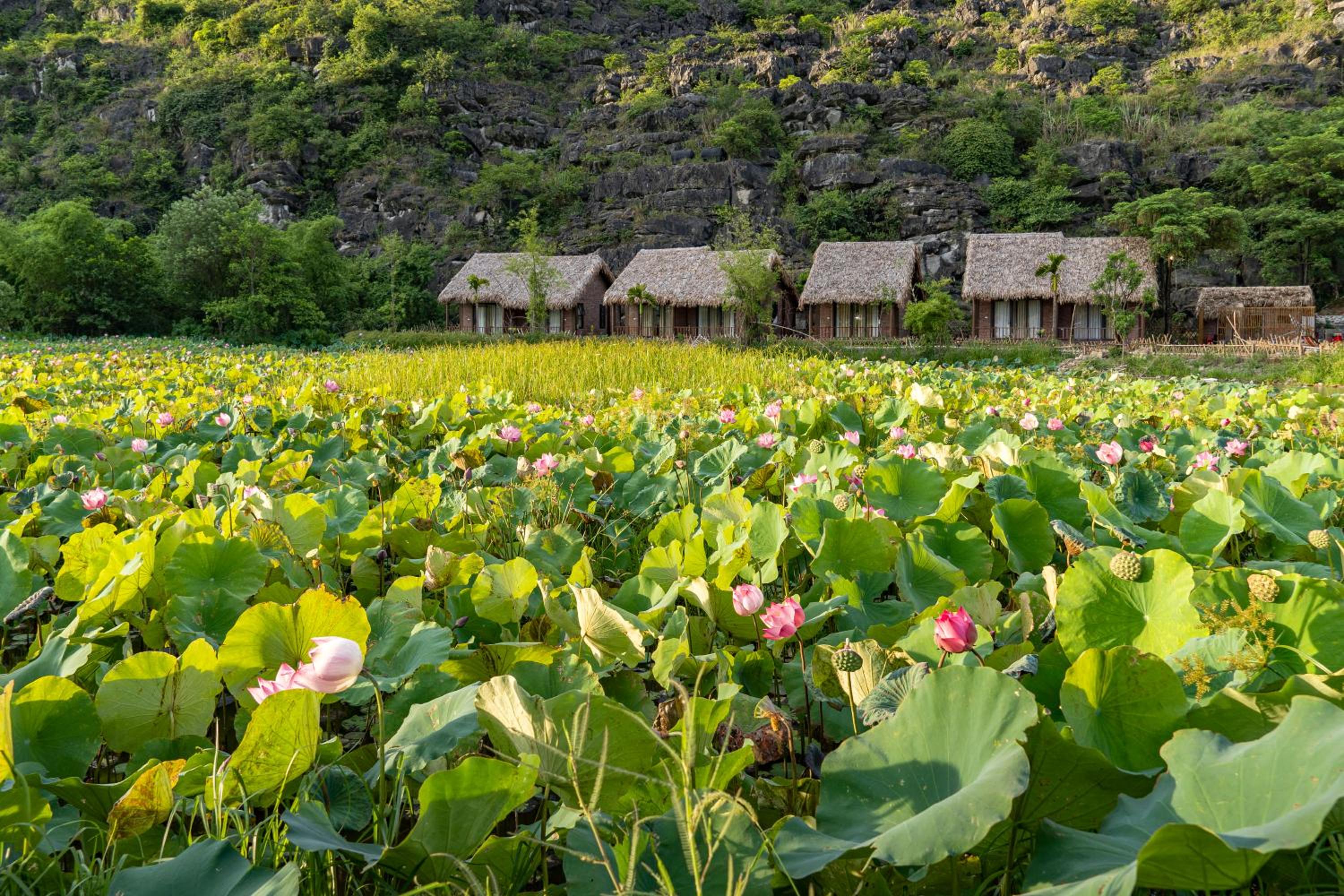 Muong Village Ninh Binh 19