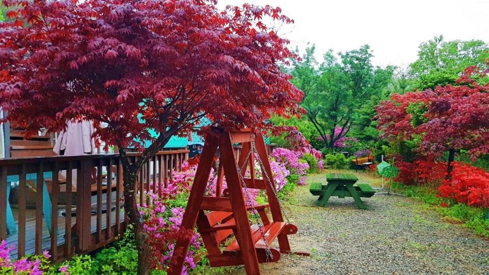 CHAEUL Pension, Pyeongchang  - 18