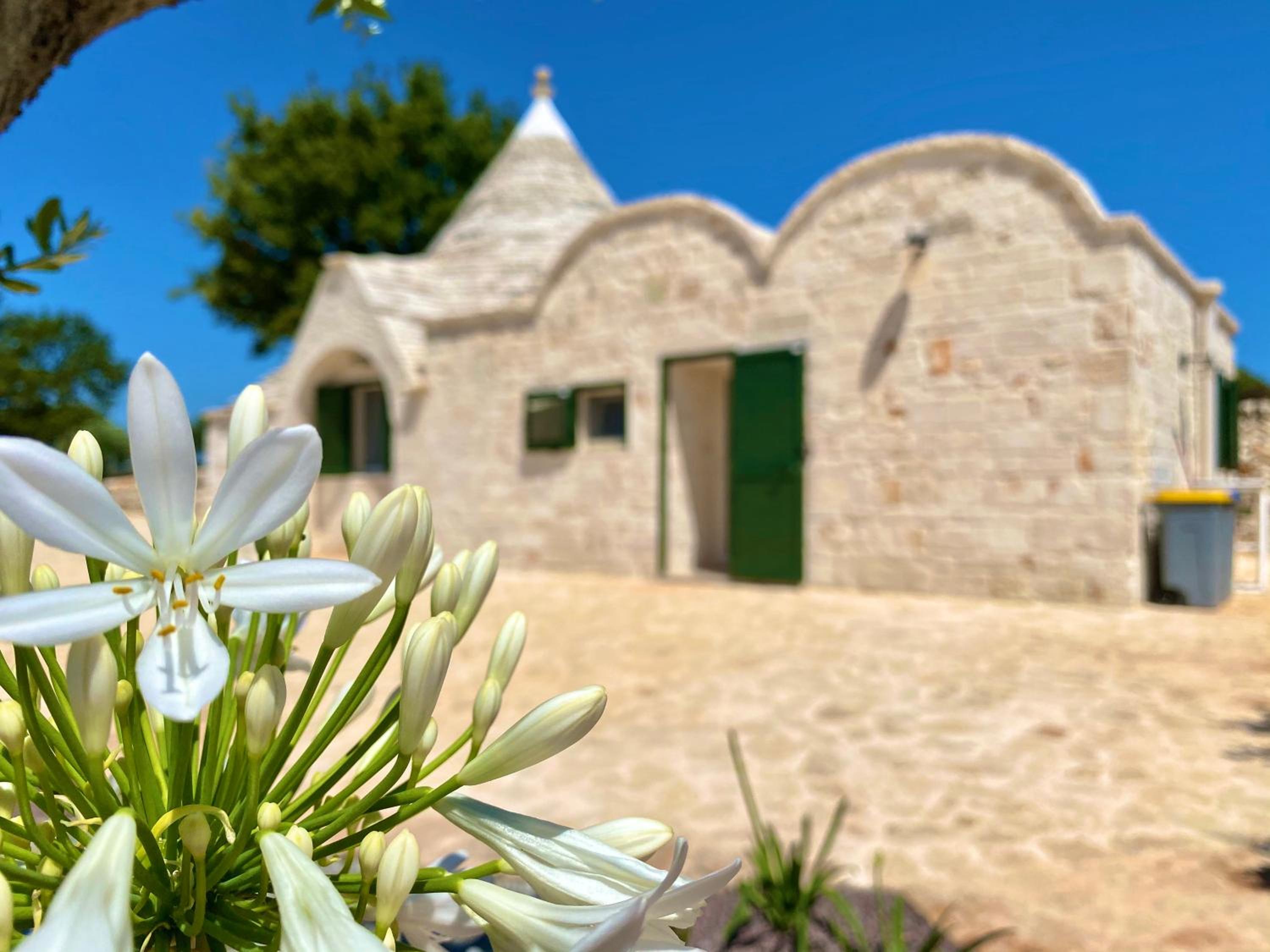 Trulli Paradise Alberobello