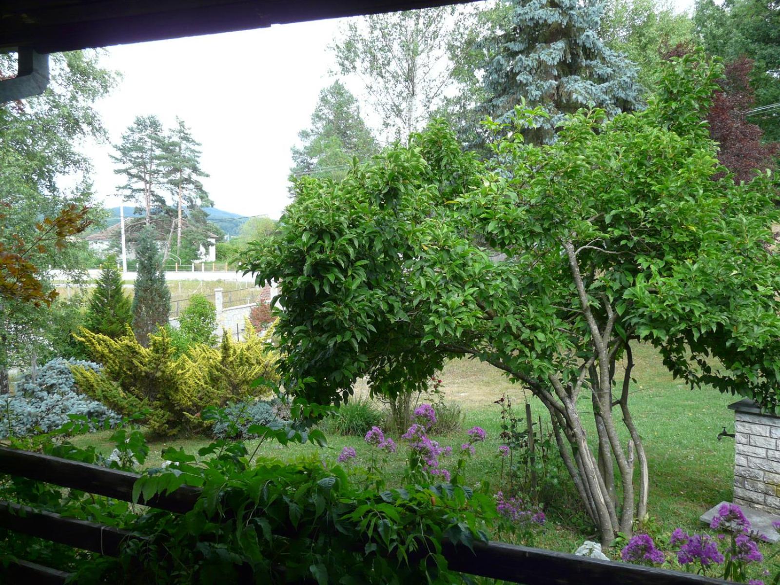 Photo 30