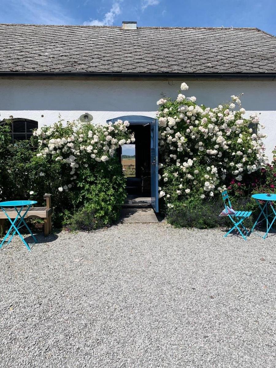 Rävåkra Bed & Breakfast