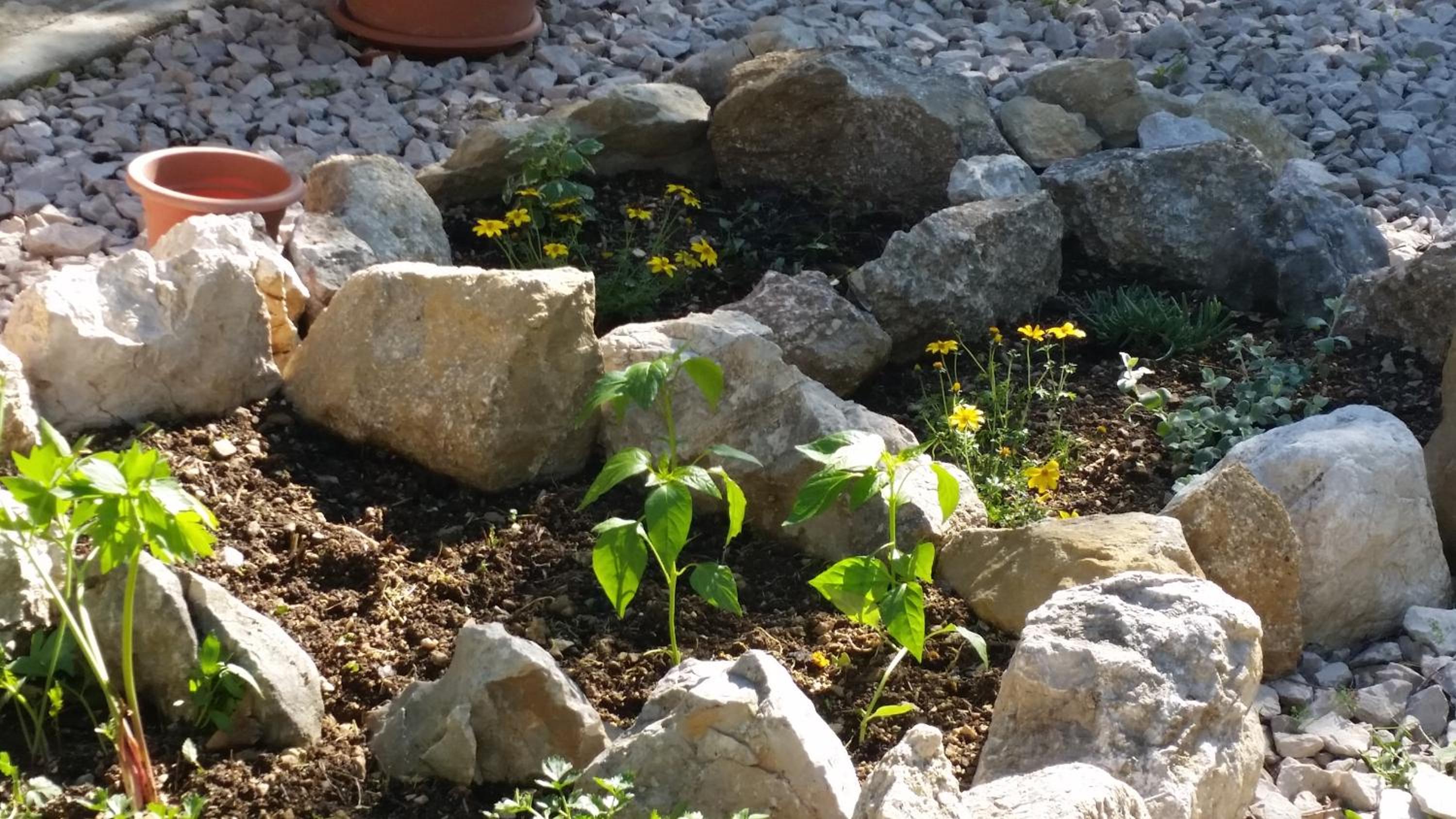 Photo 22