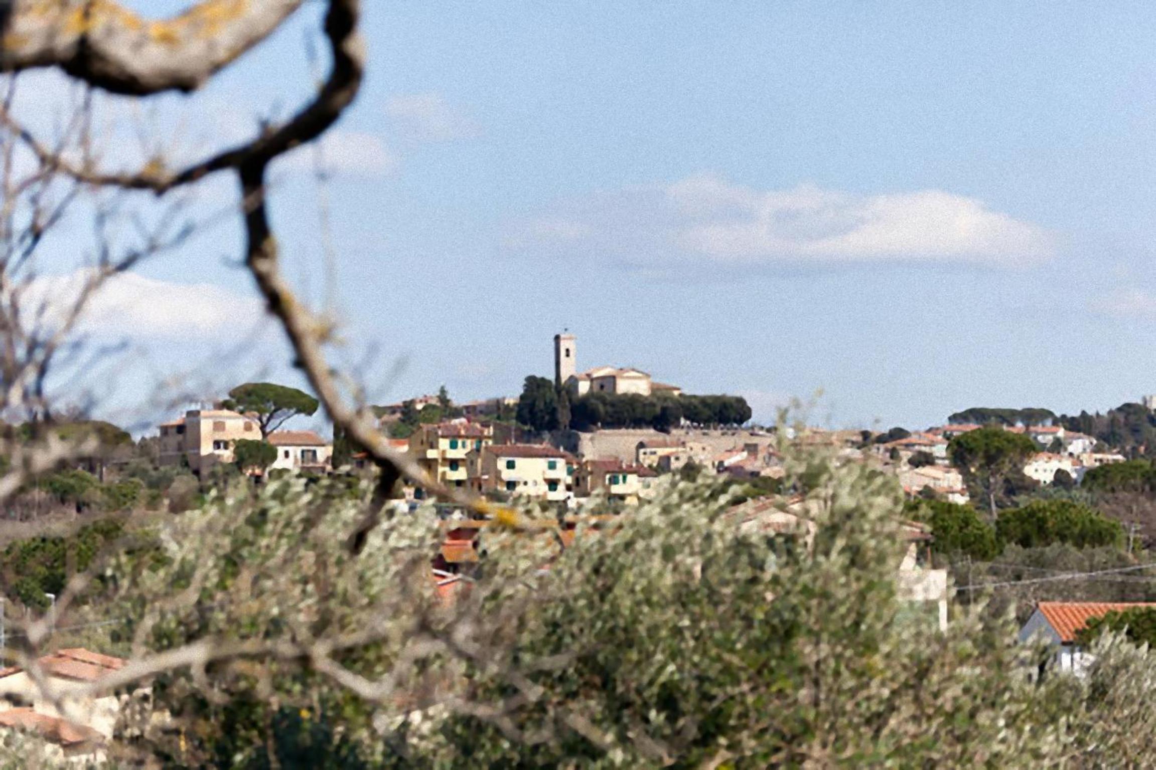 Agriturismo Antico Podere Il Polveraio view 3